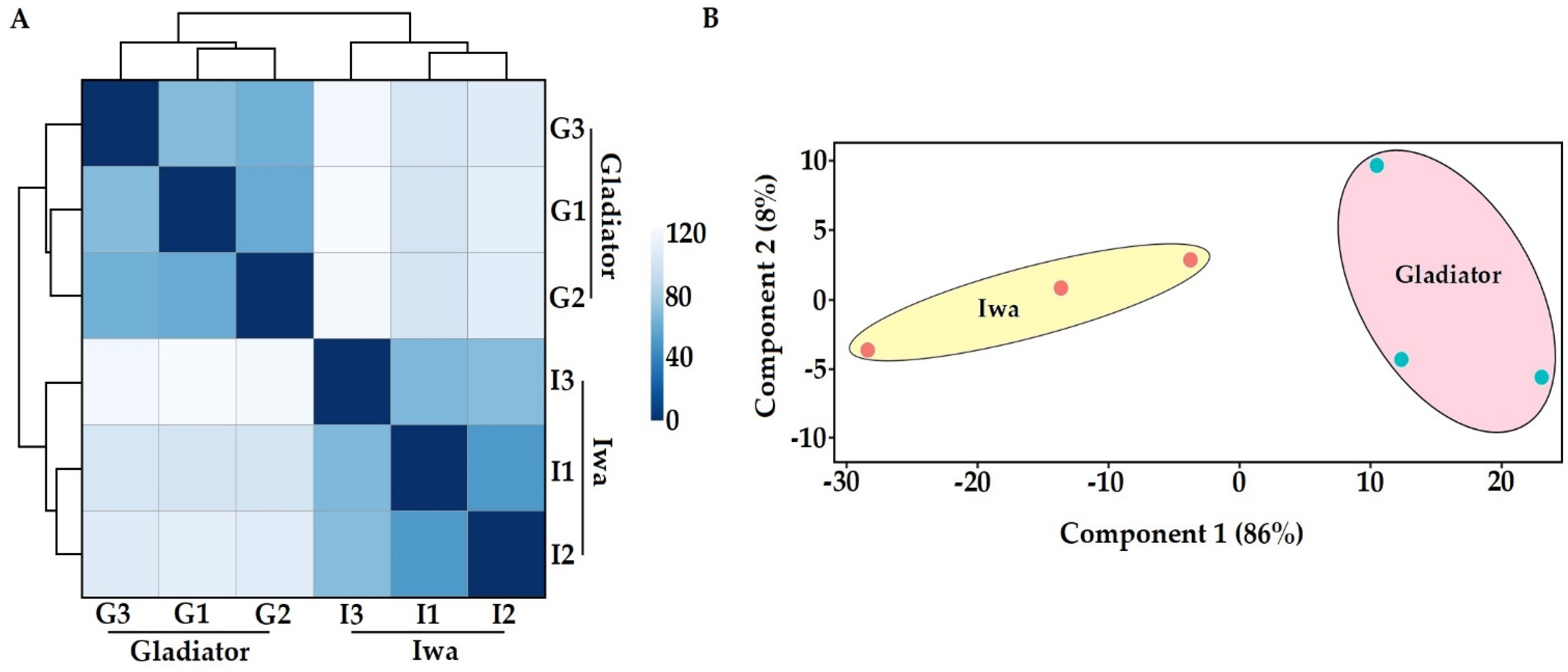 Biology 10 00840 g002