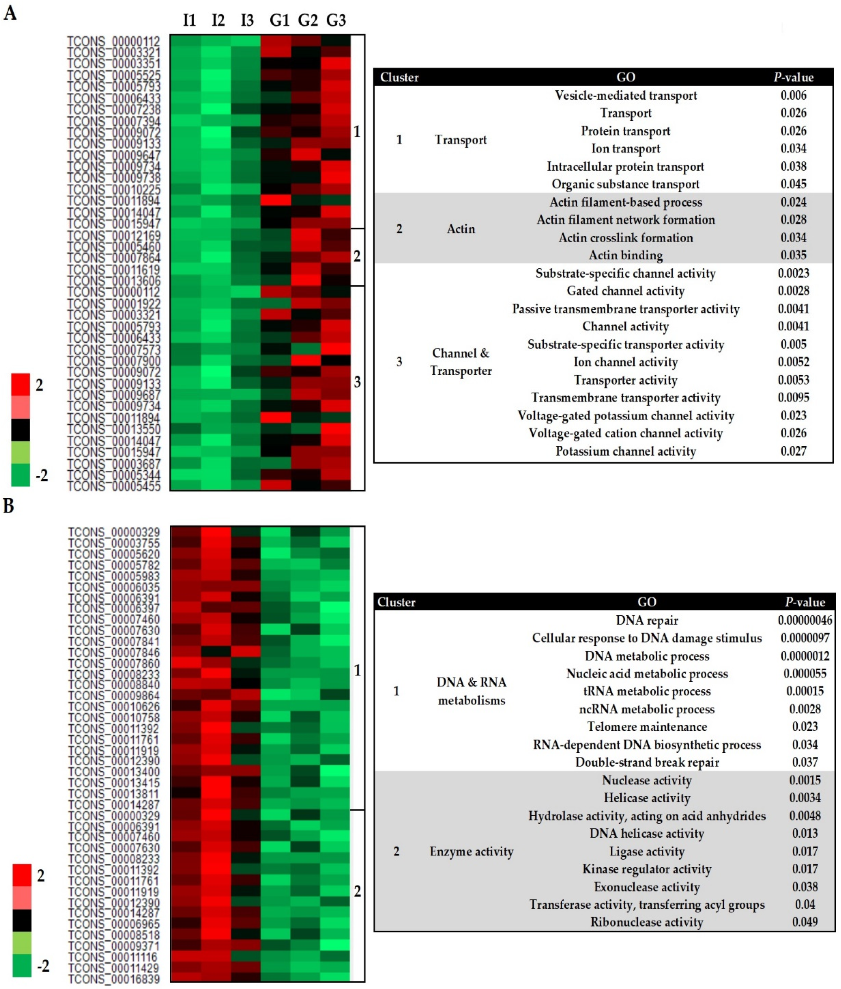 Biology 10 00840 g003