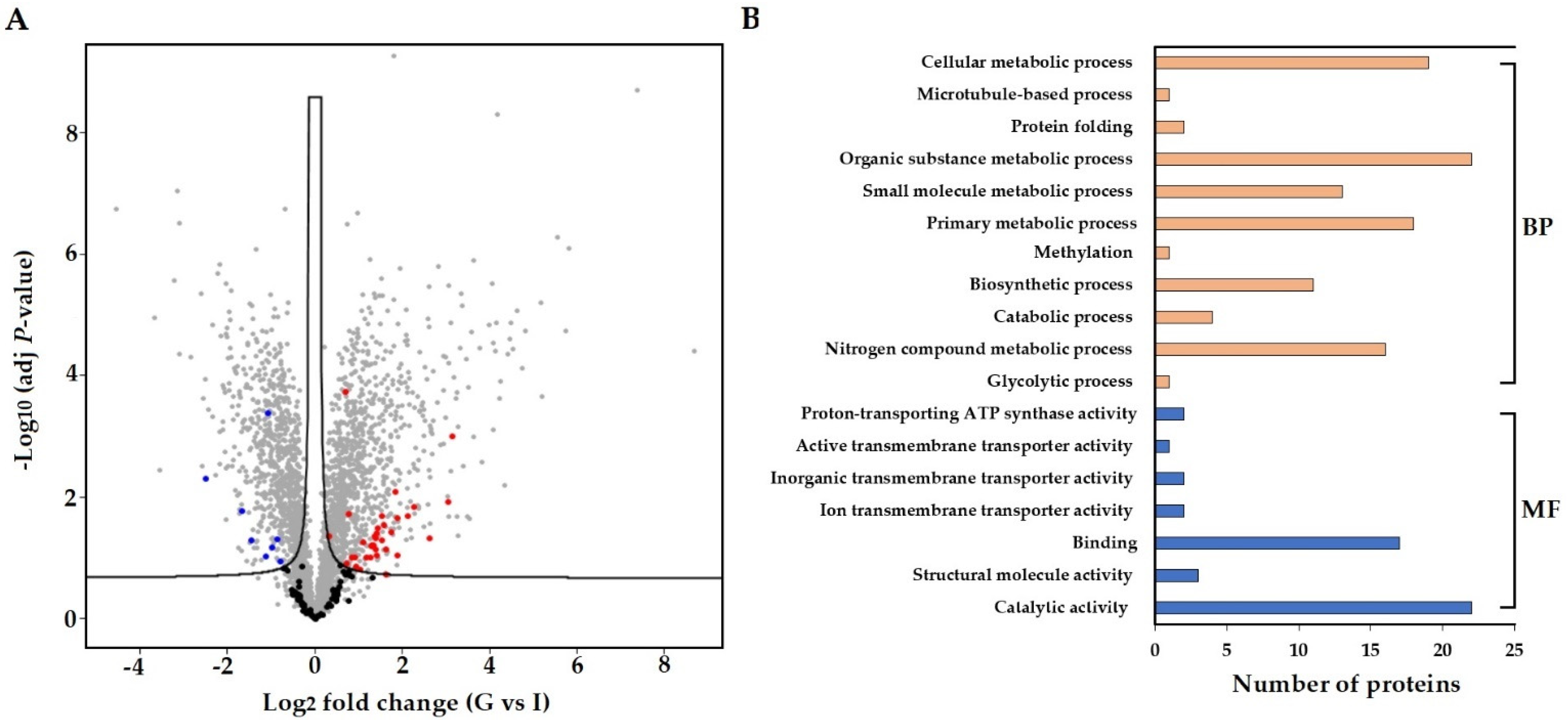 Biology 10 00840 g004