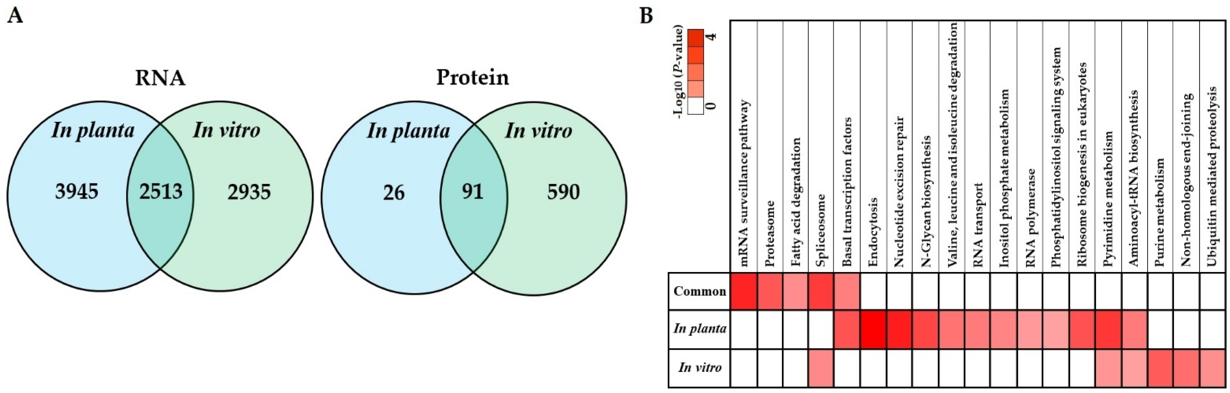 Biology 10 00840 g006