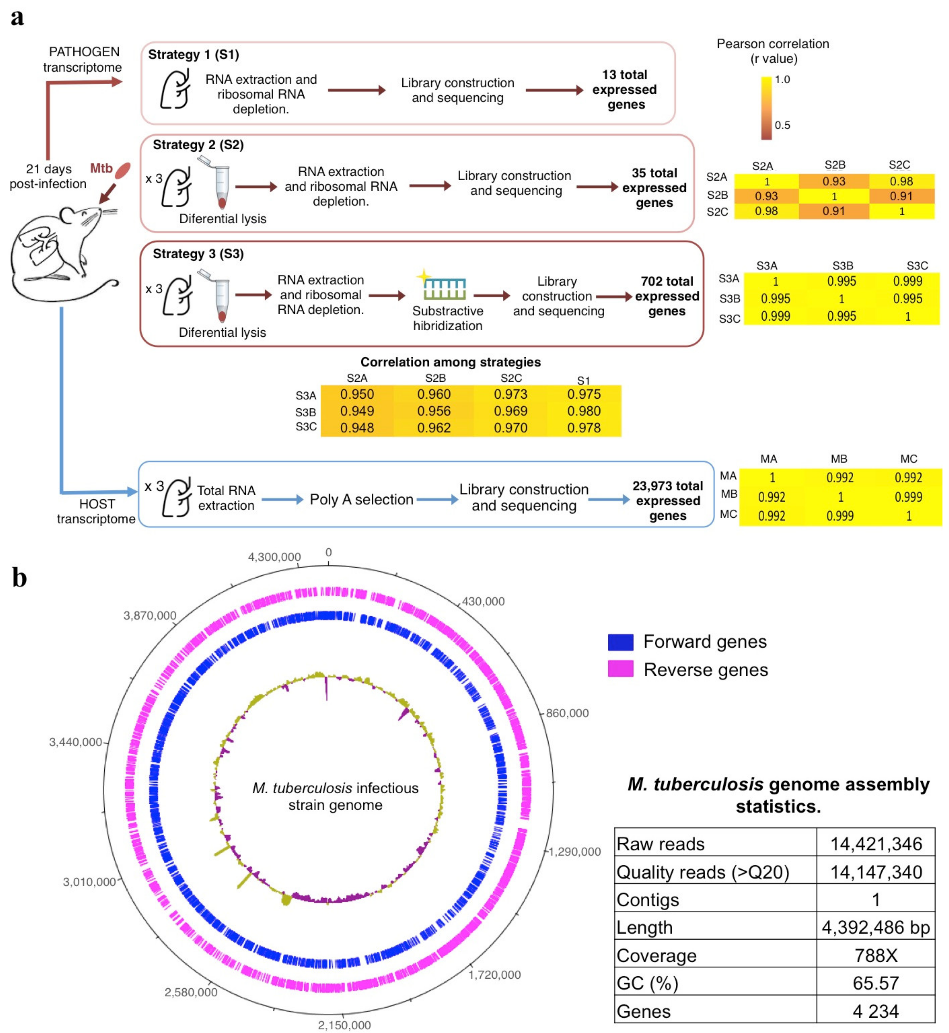 Biology 10 00848 g001