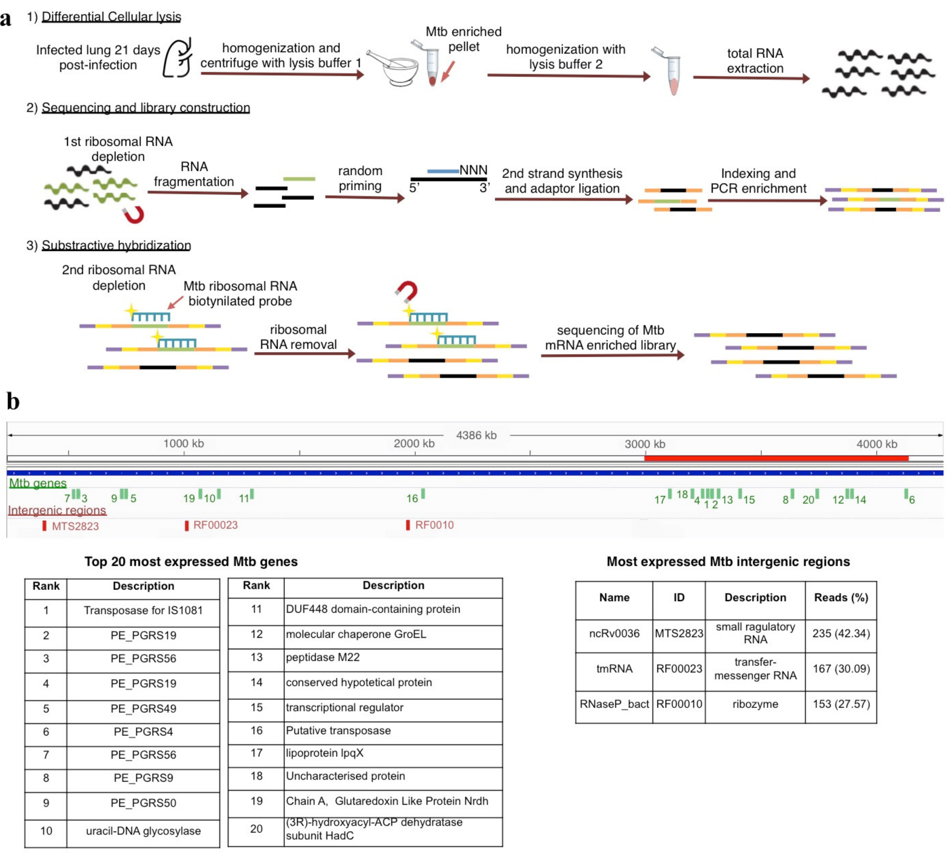 Biology 10 00848 g003