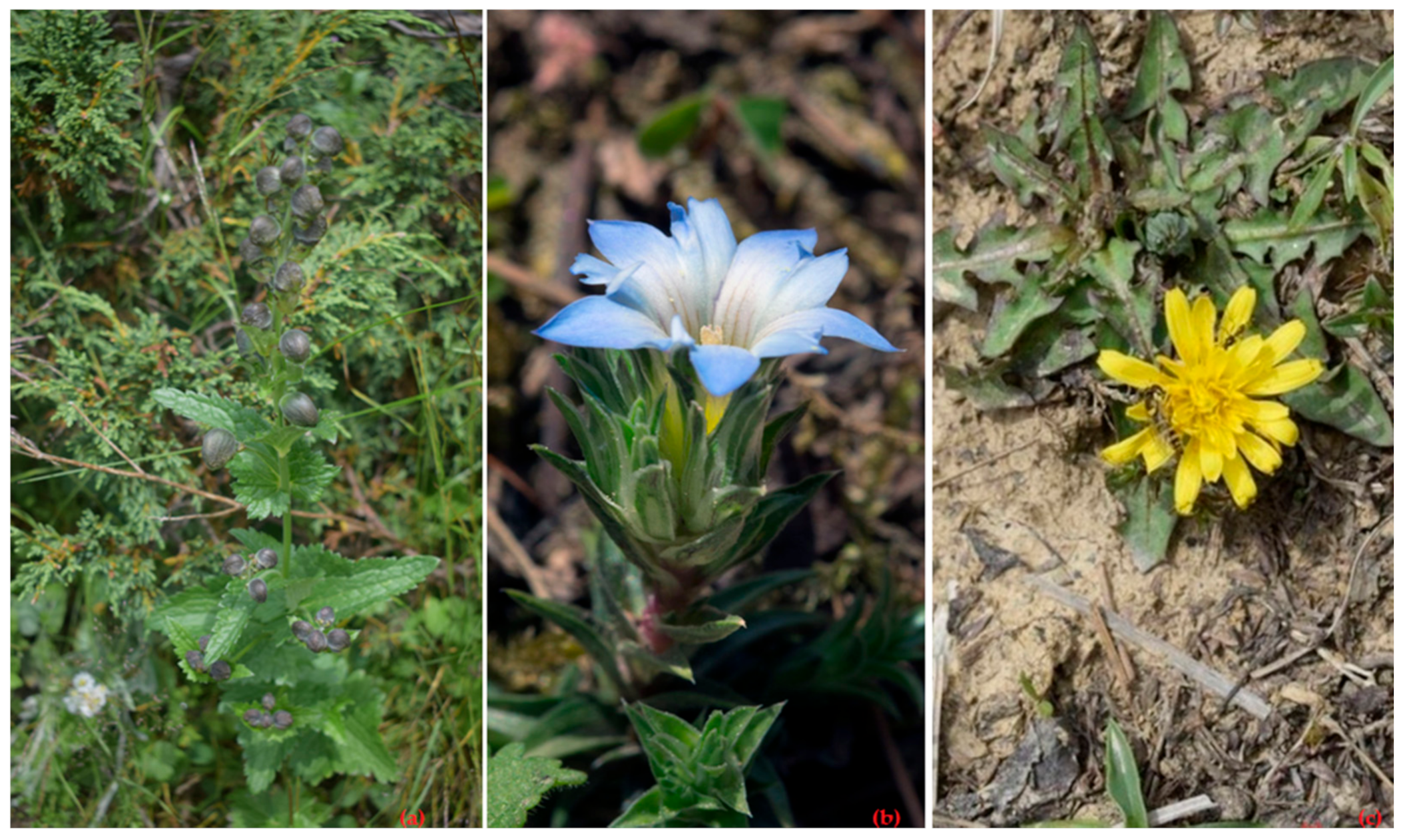 Biology 10 00851 g006