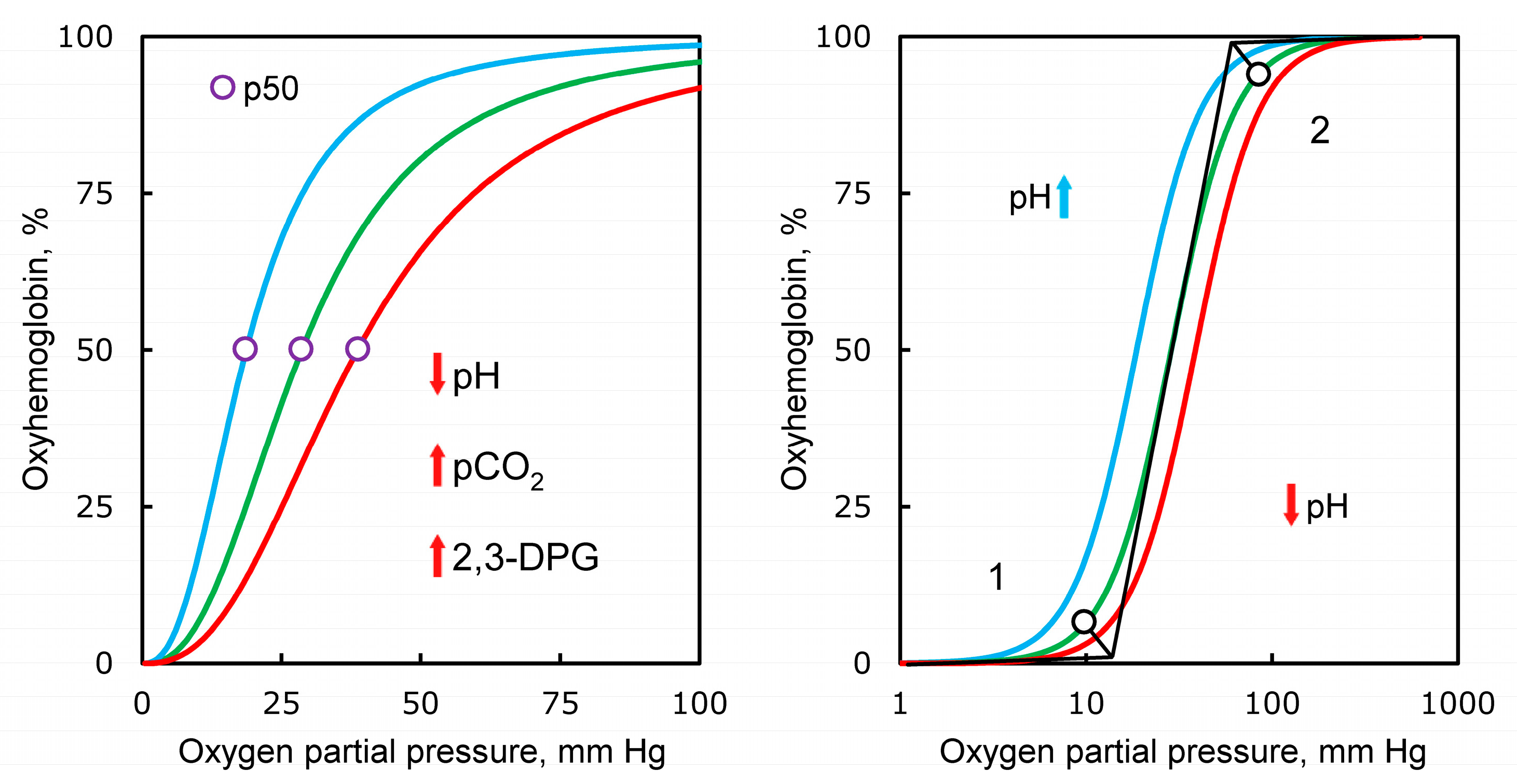 Biology 10 00852 g003