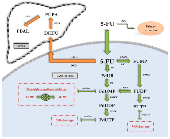 TAS 102 mechanism of action compared to 5-FU