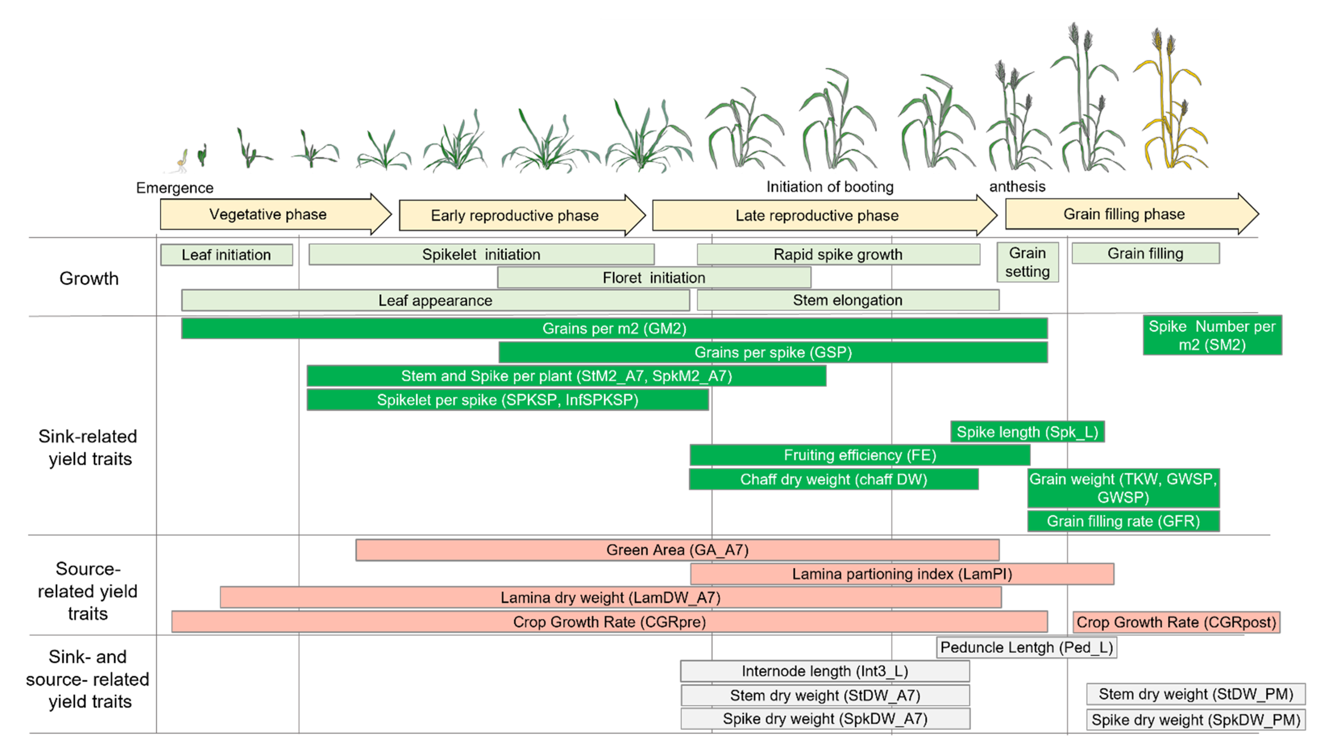 Biology 10 00855 g005