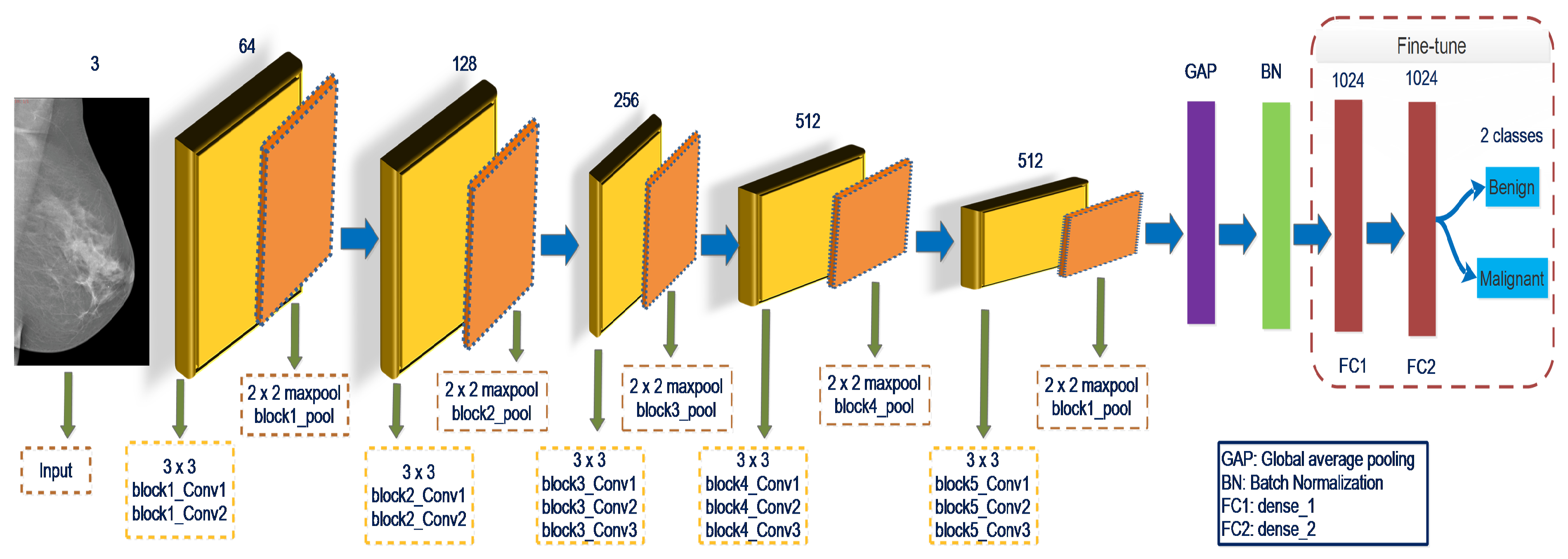 Biology 10 00859 g002 550