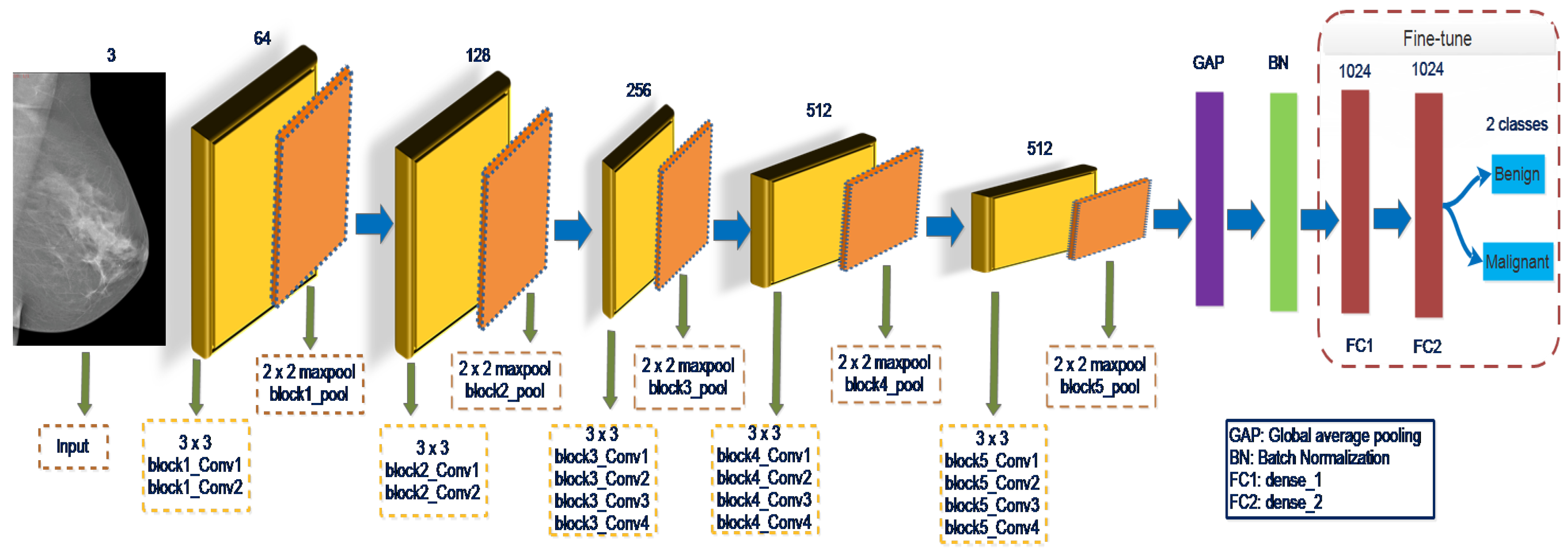 Biology 10 00859 g003 550