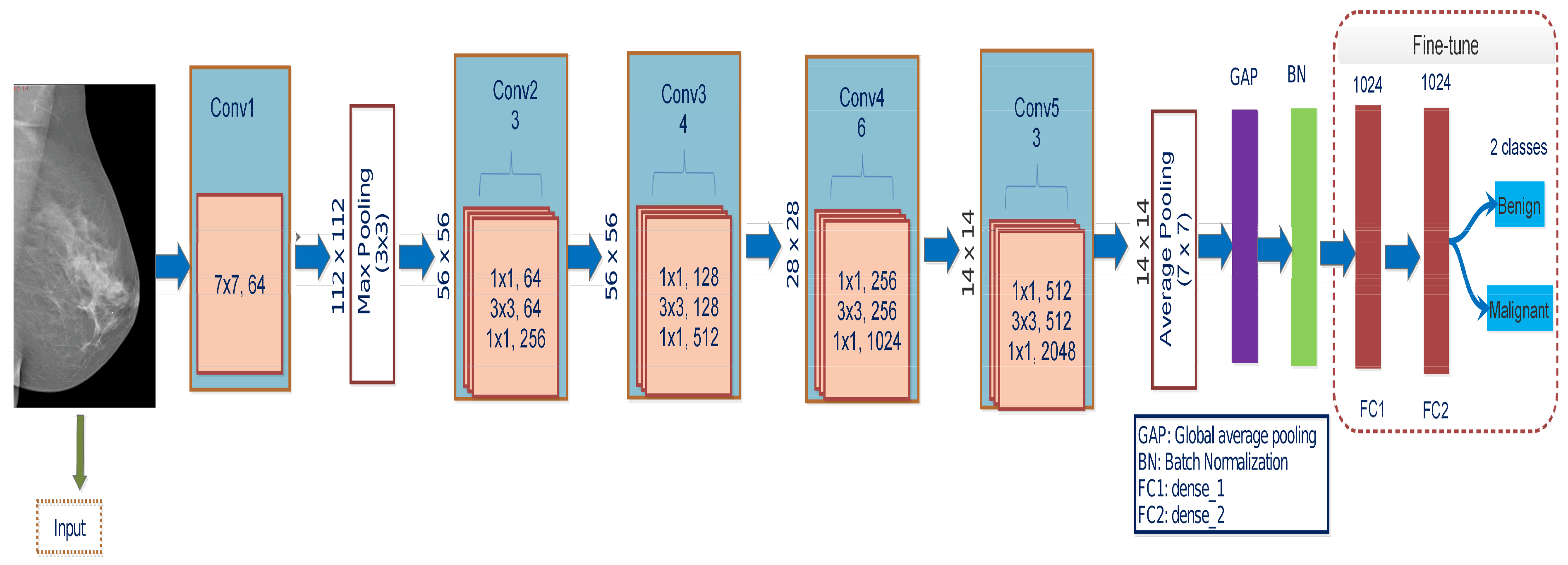 Biology 10 00859 g004 550