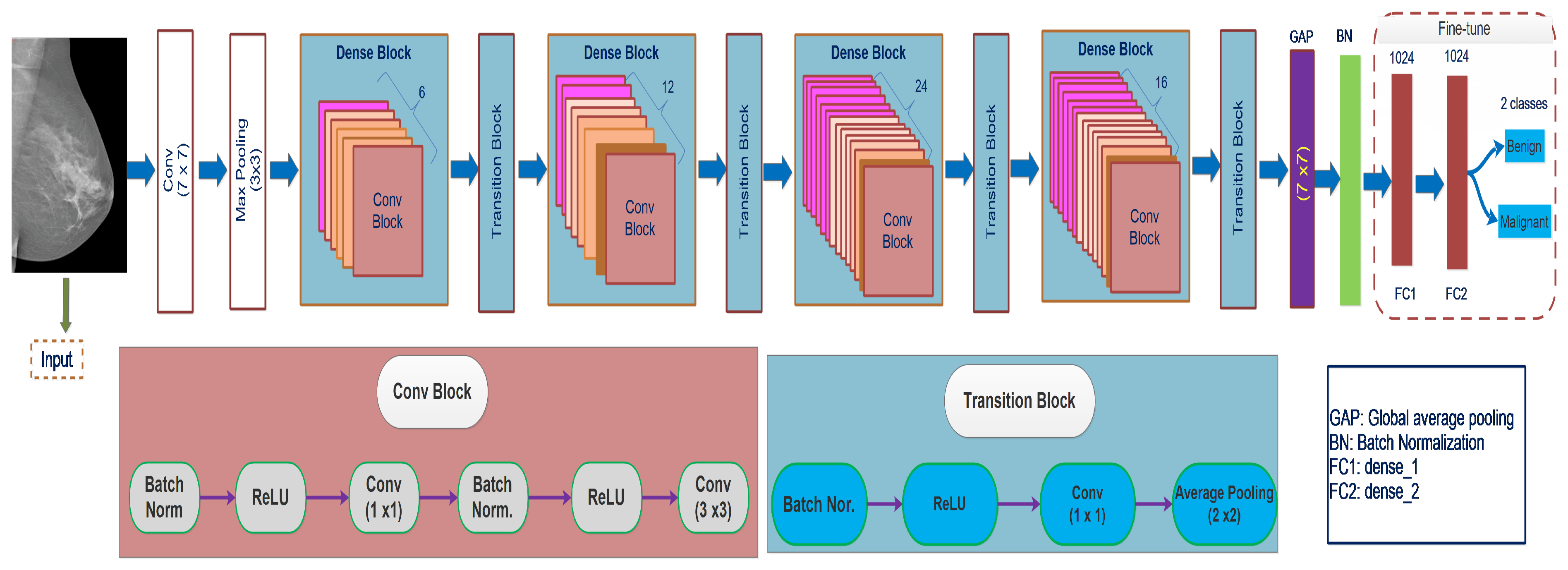 Biology 10 00859 g005 550