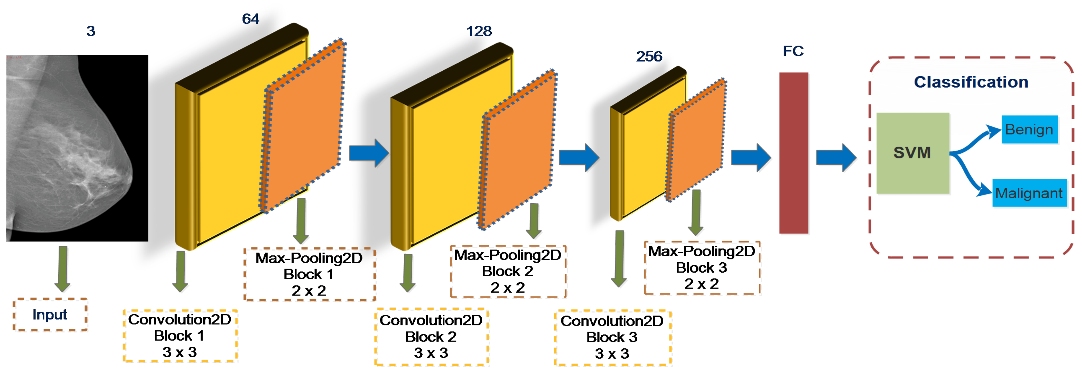 Biology 10 00859 g006 550