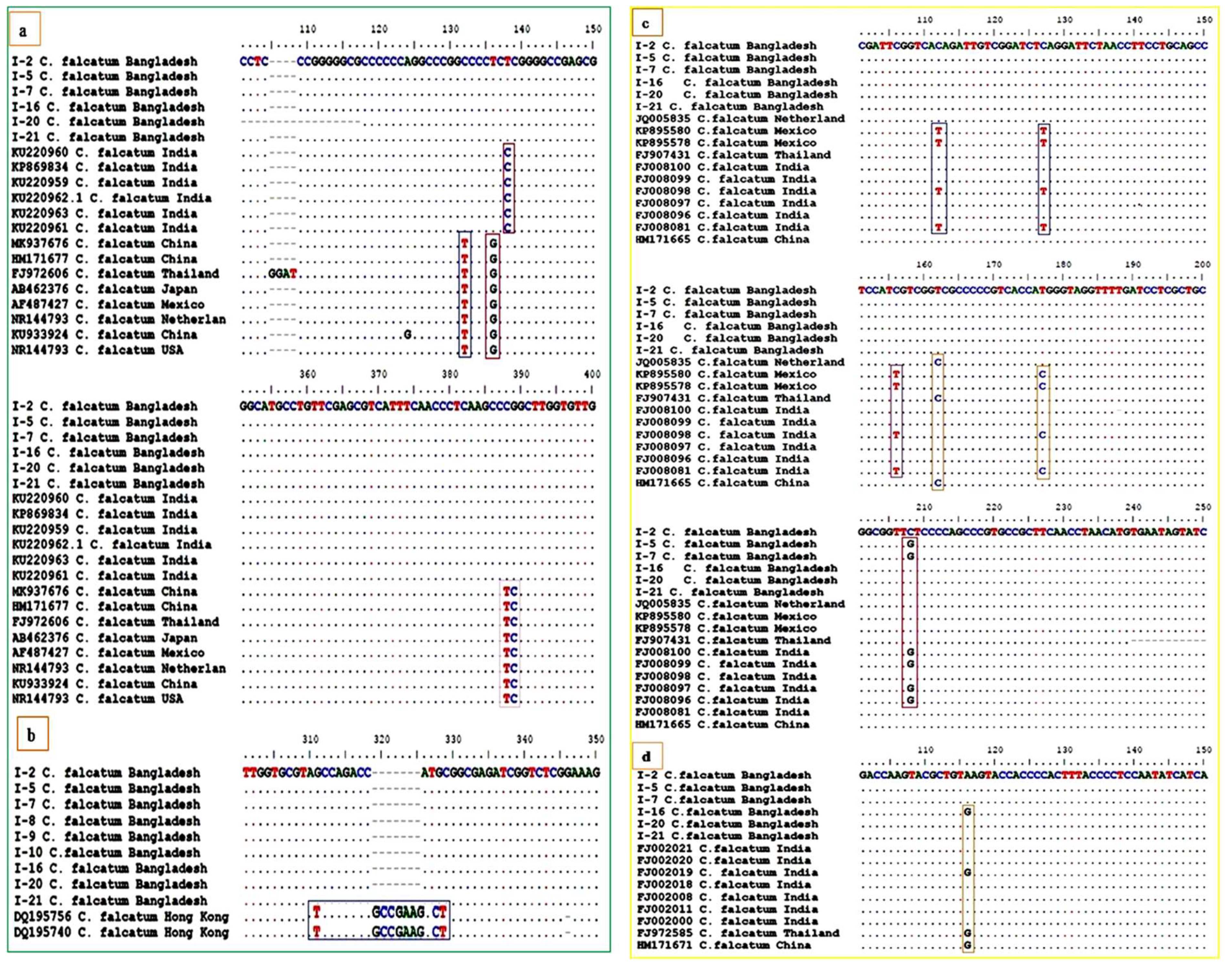 Biology 10 00862 g005 Biology 10 00862 g005