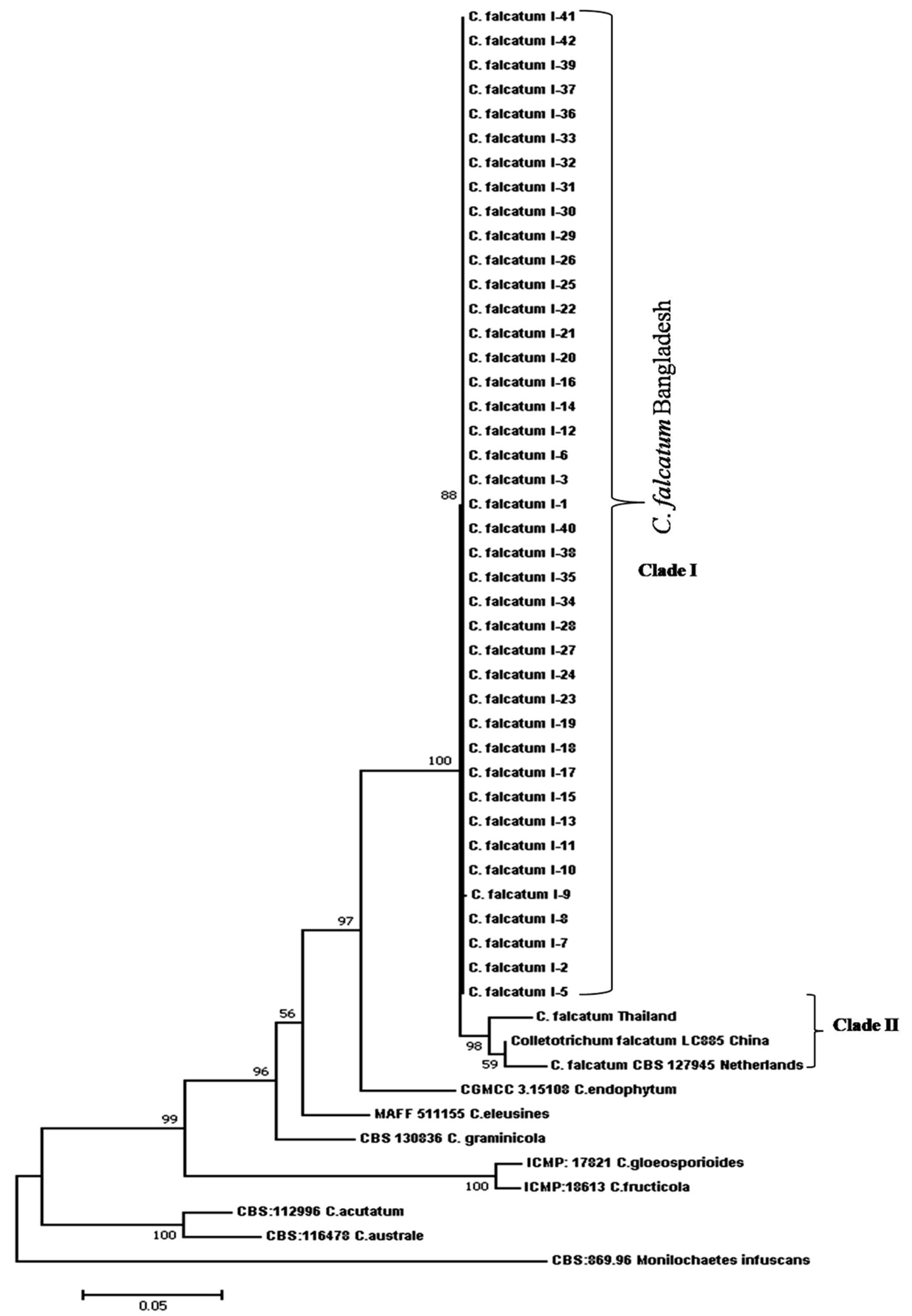 Biology 10 00862 g006 Biology 10 00862 g006