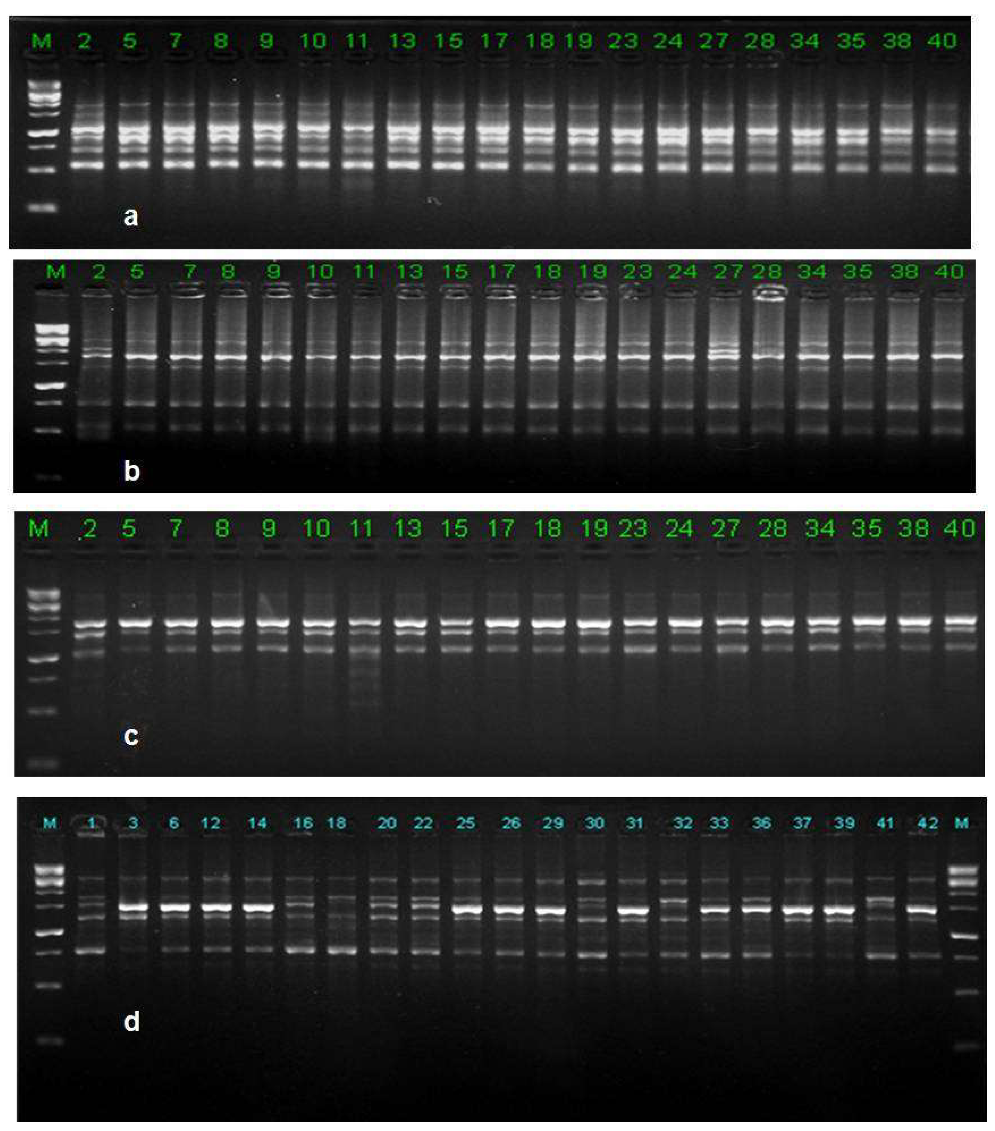 Biology 10 00862 g007 Biology 10 00862 g007
