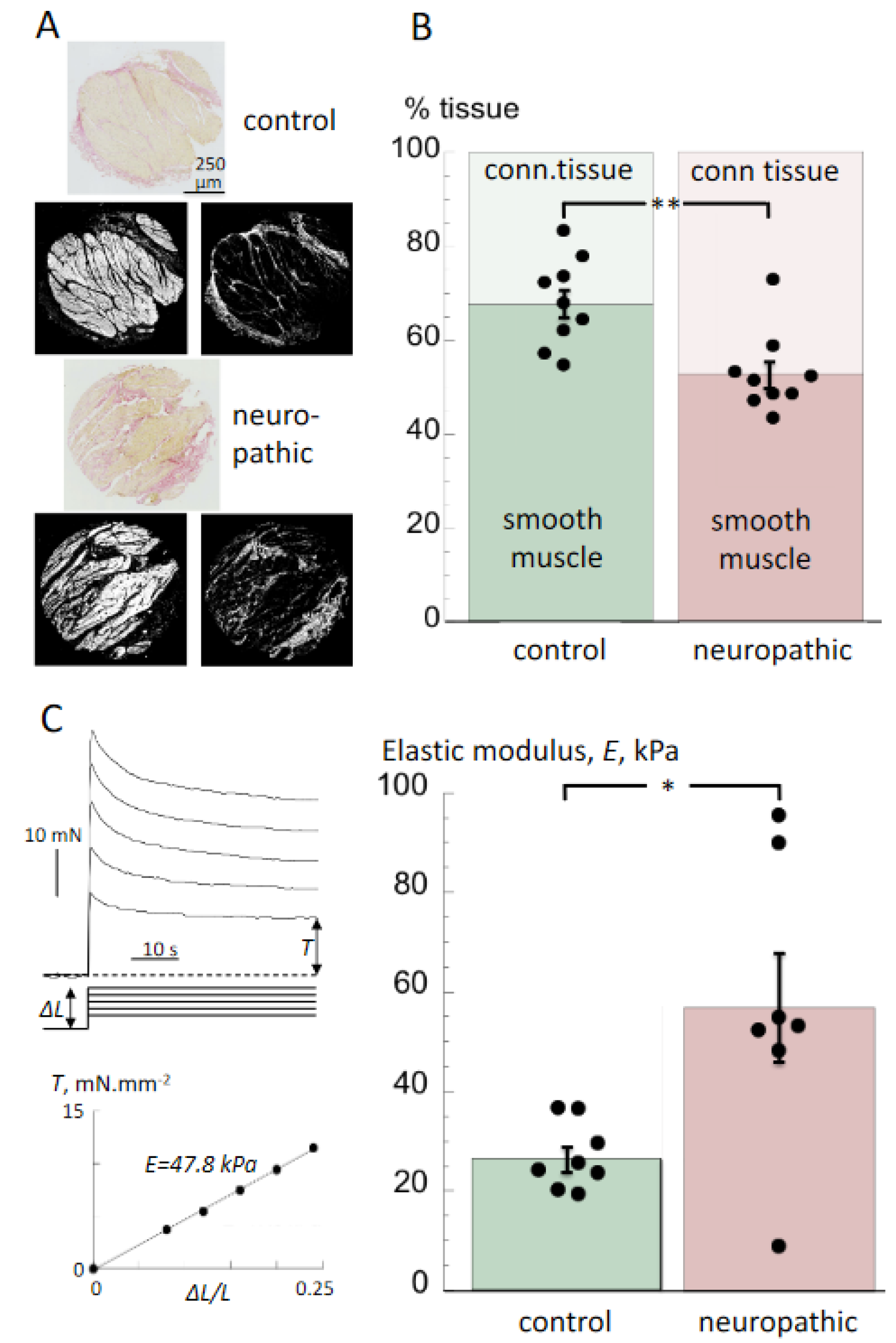 Biology 10 00863 g002 Biology 10 00863 g002
