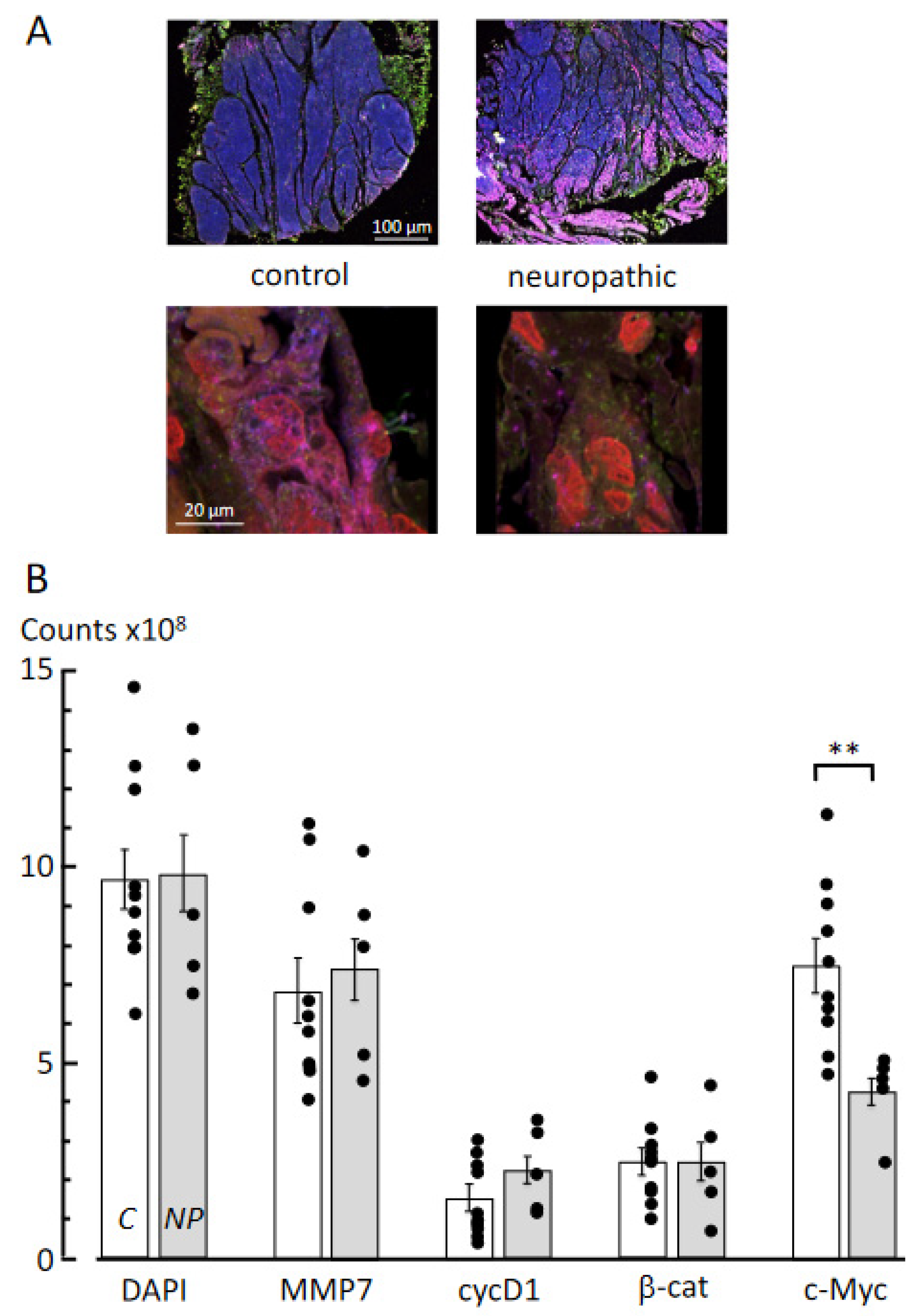 Biology 10 00863 g003 Biology 10 00863 g003