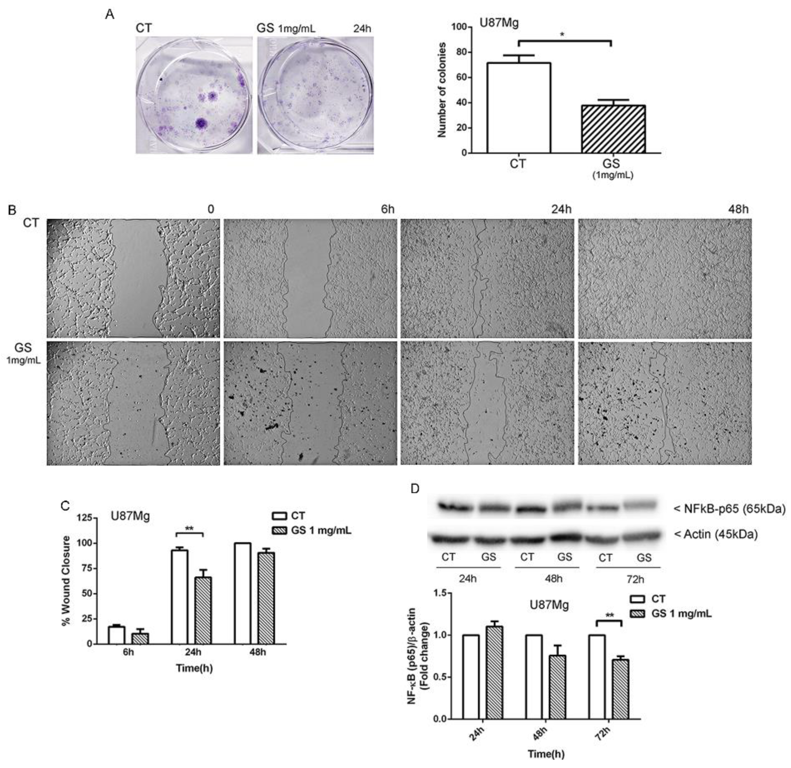 Biology 10 00870 g002