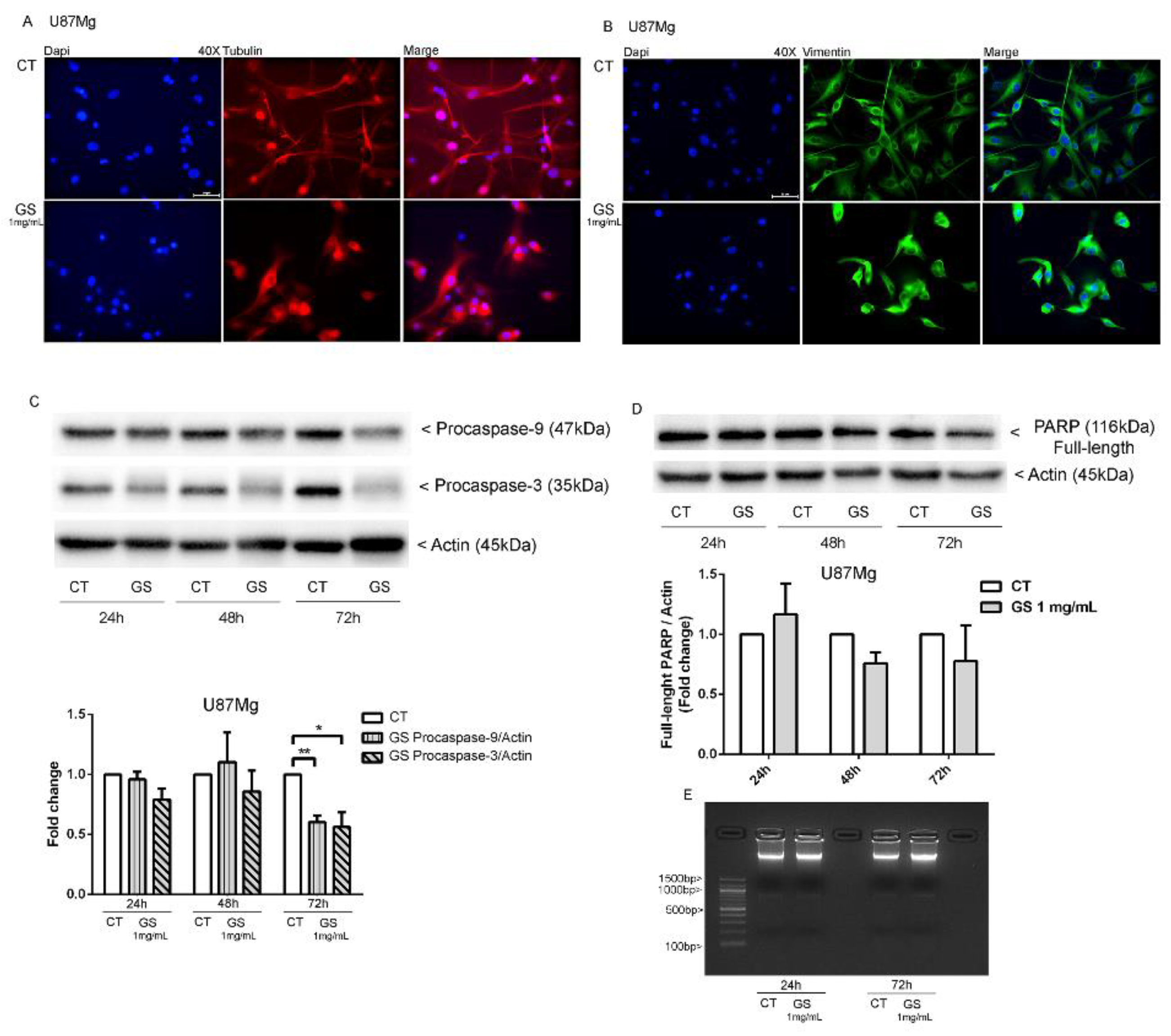 Biology 10 00870 g003