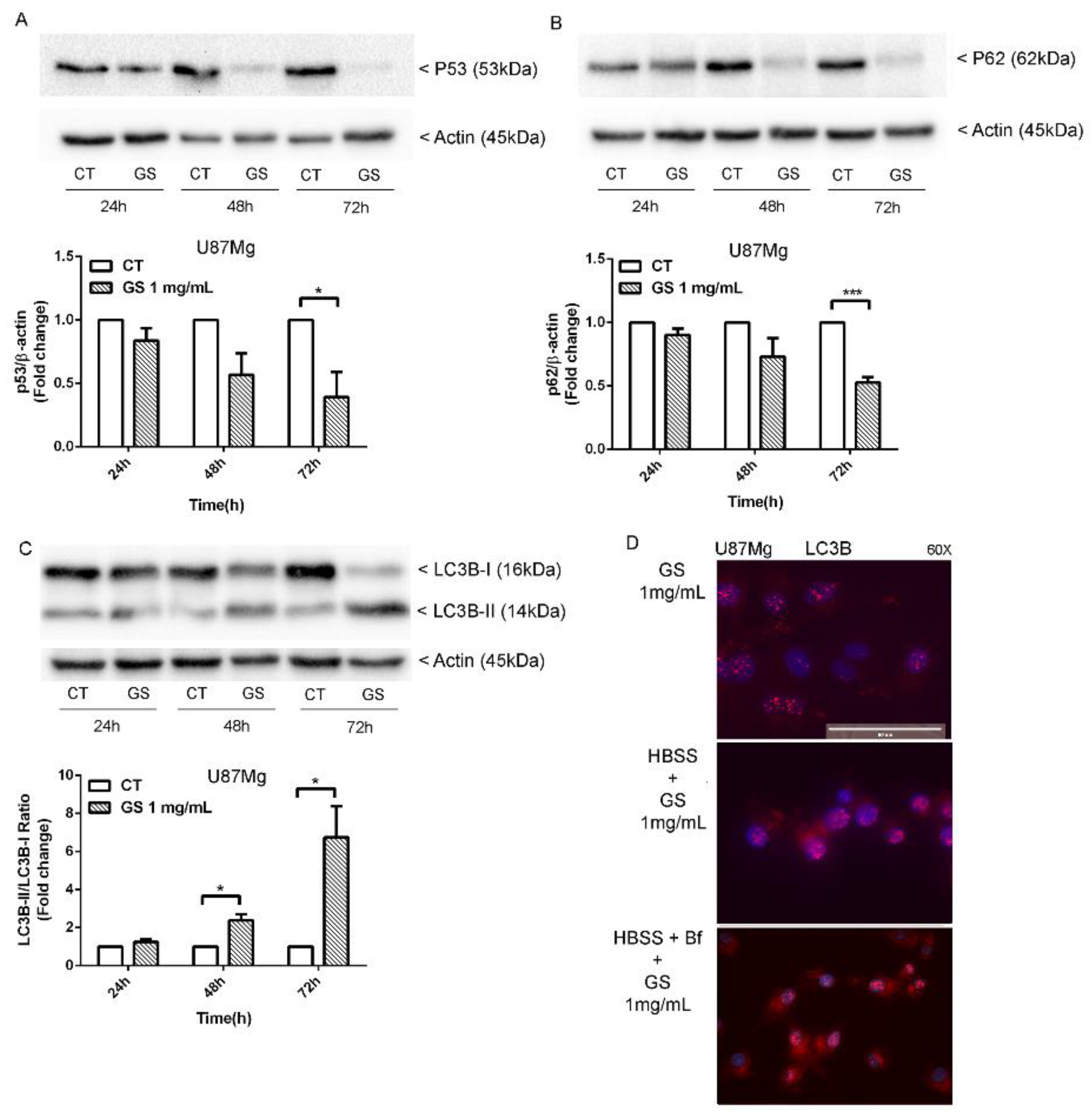 Biology 10 00870 g004