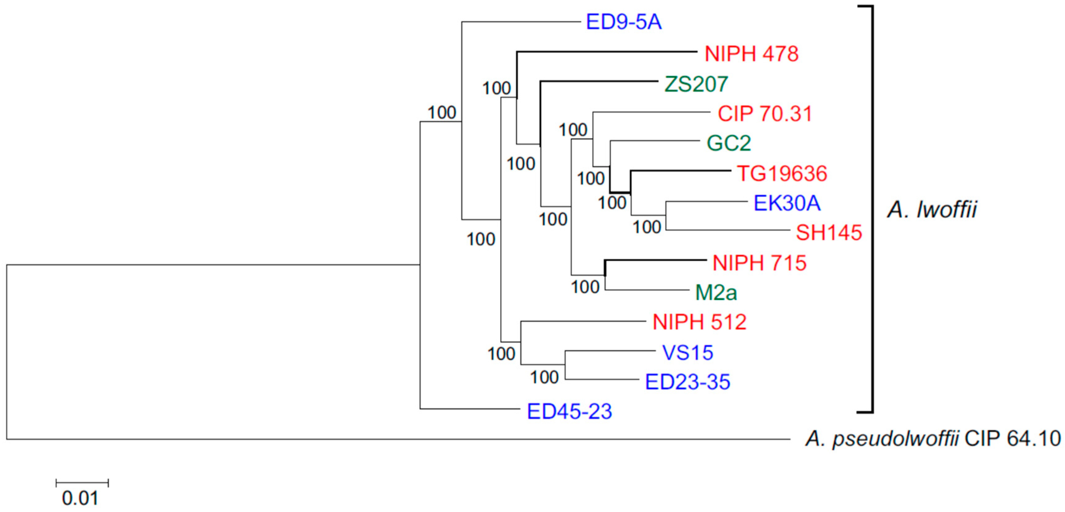 Biology 10 00871 g001