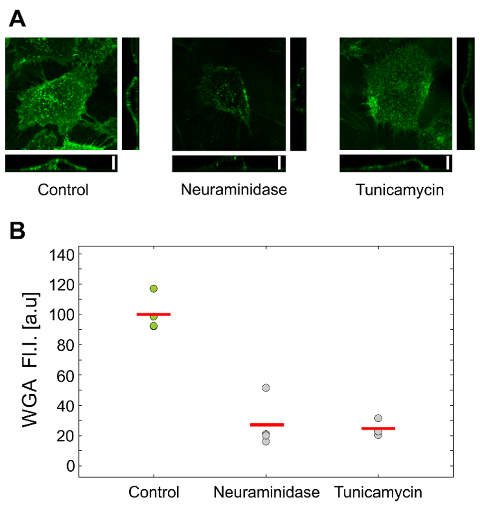Biology 10 00873 g004 550