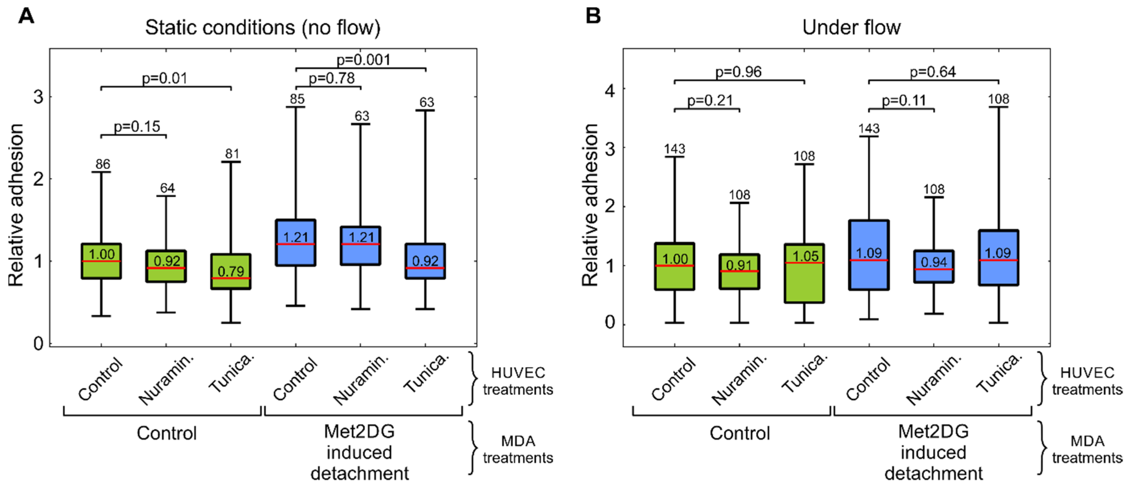 Biology 10 00873 g005 550
