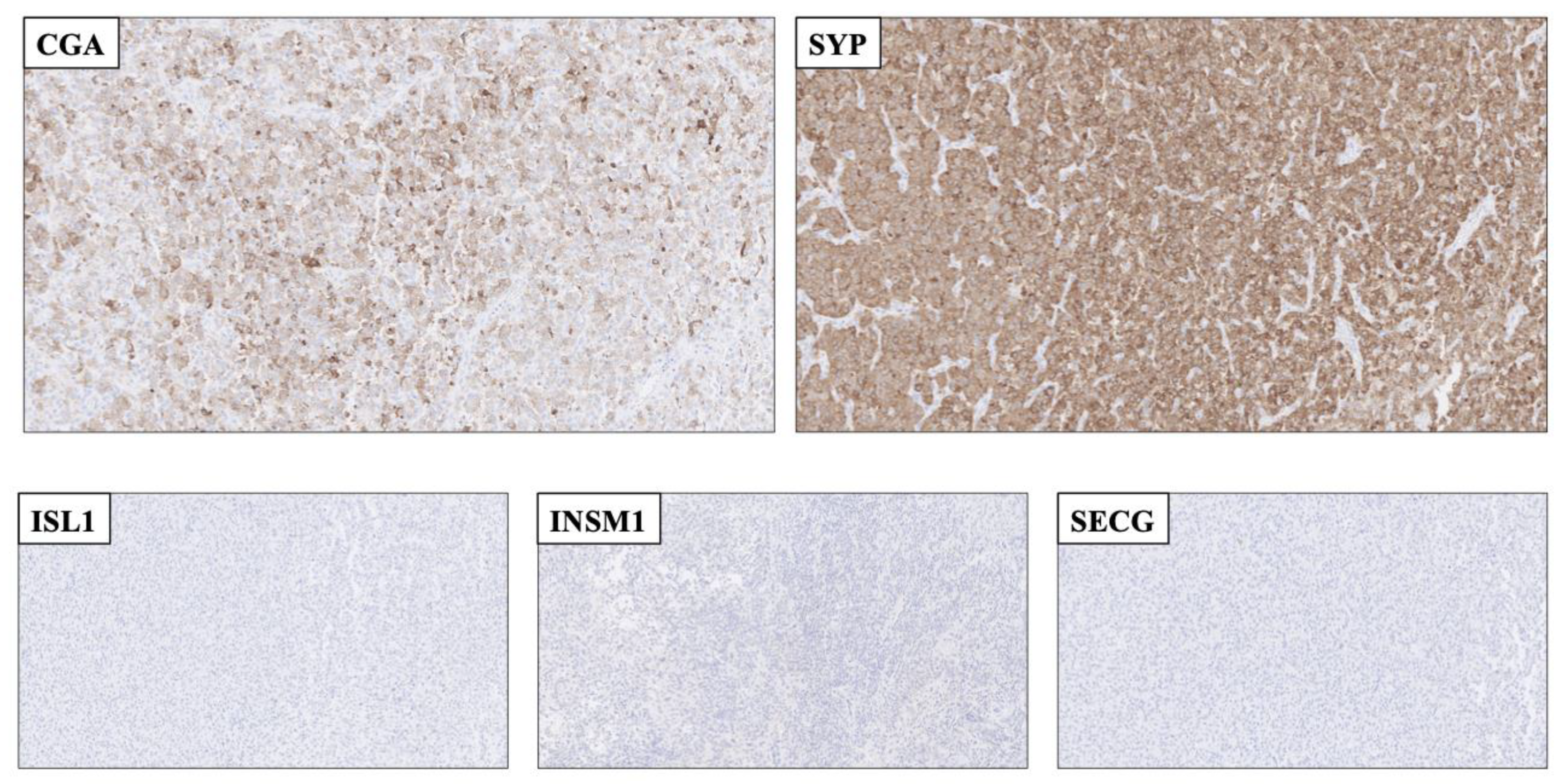 Biology 10 00874 g002