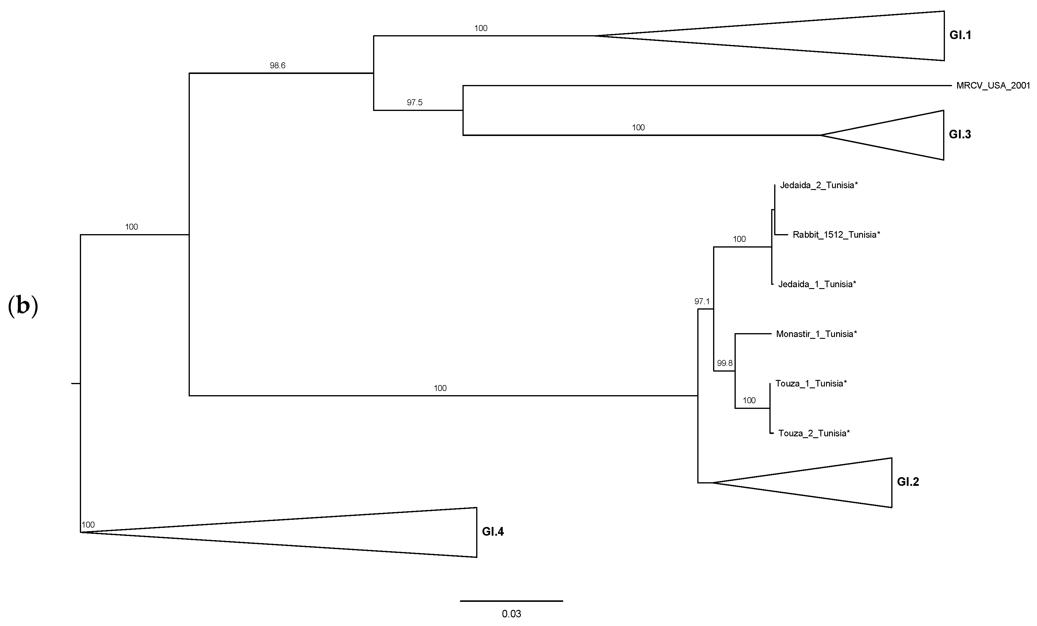 Biology 10 00883 g002b