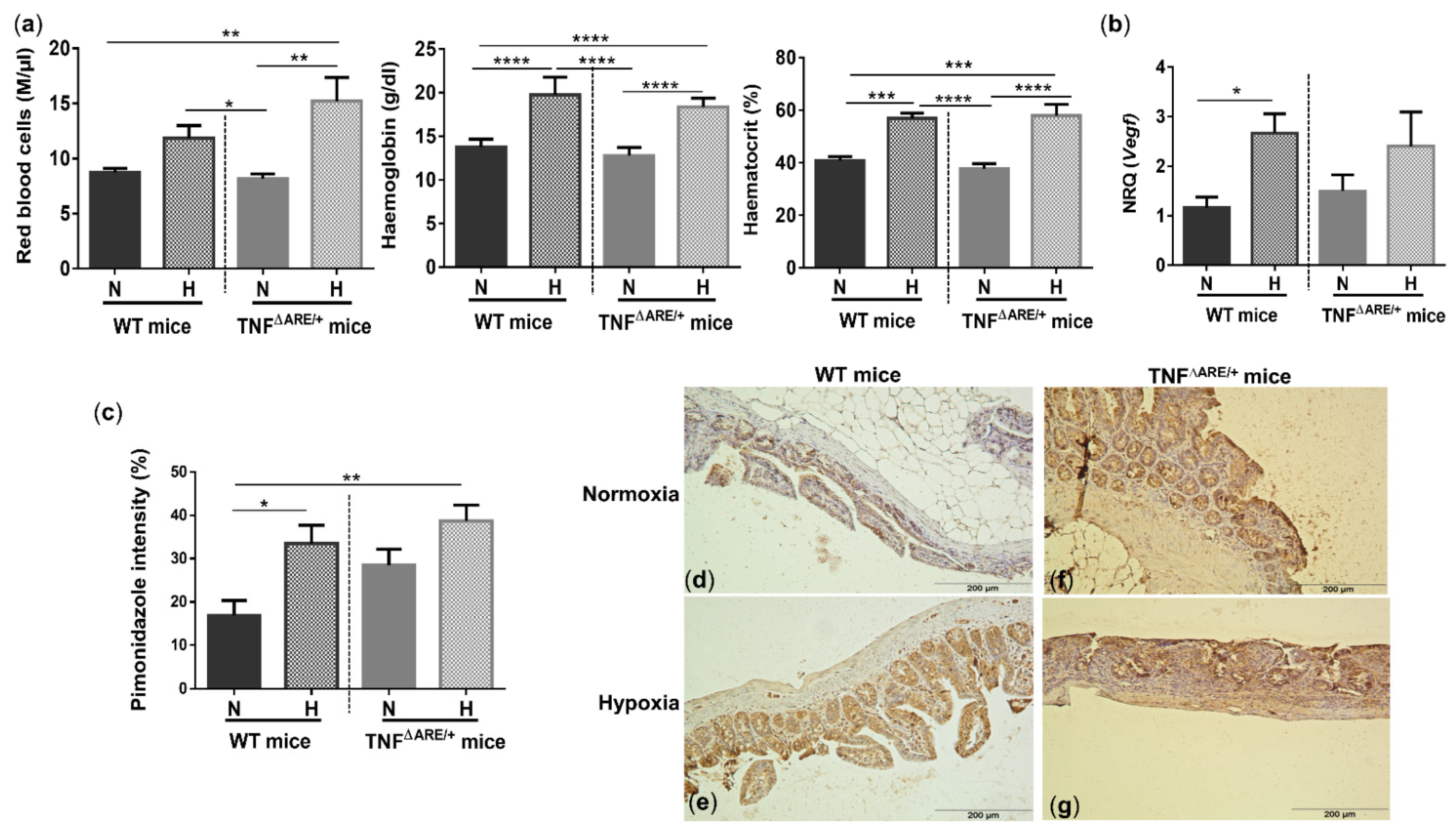 Biology 10 00887 g002 550