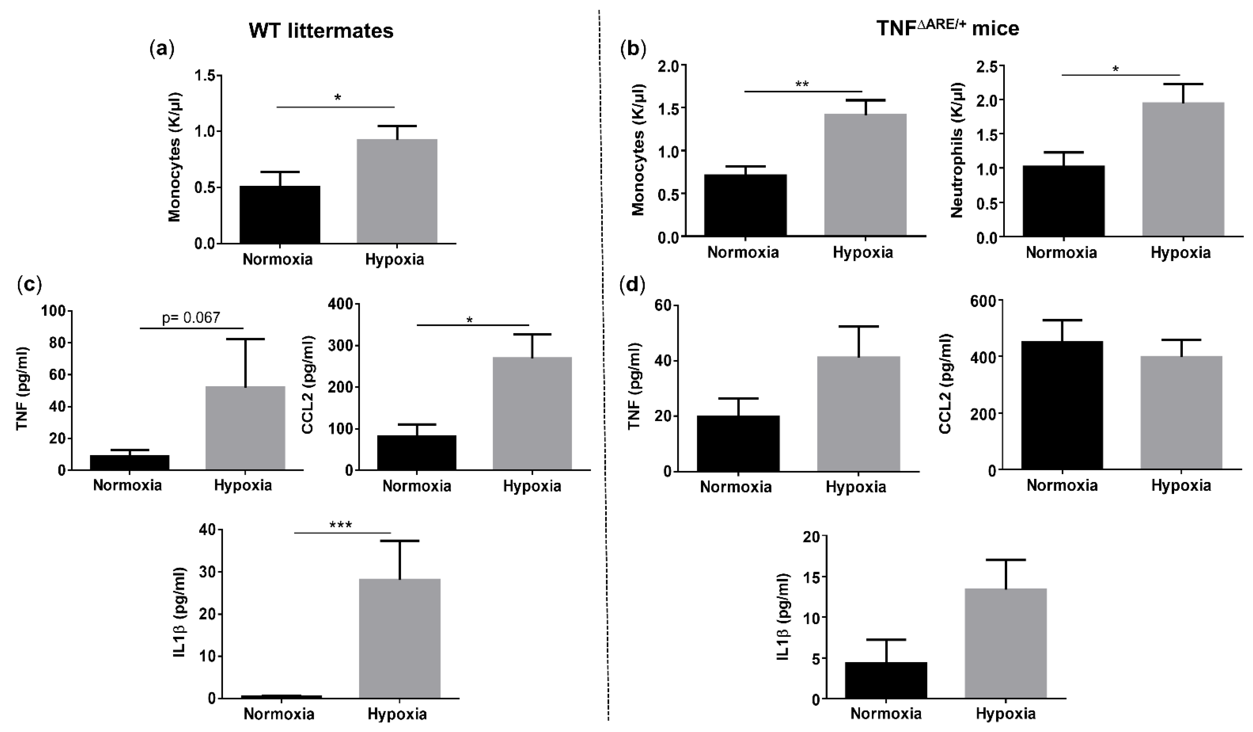 Biology 10 00887 g003 550