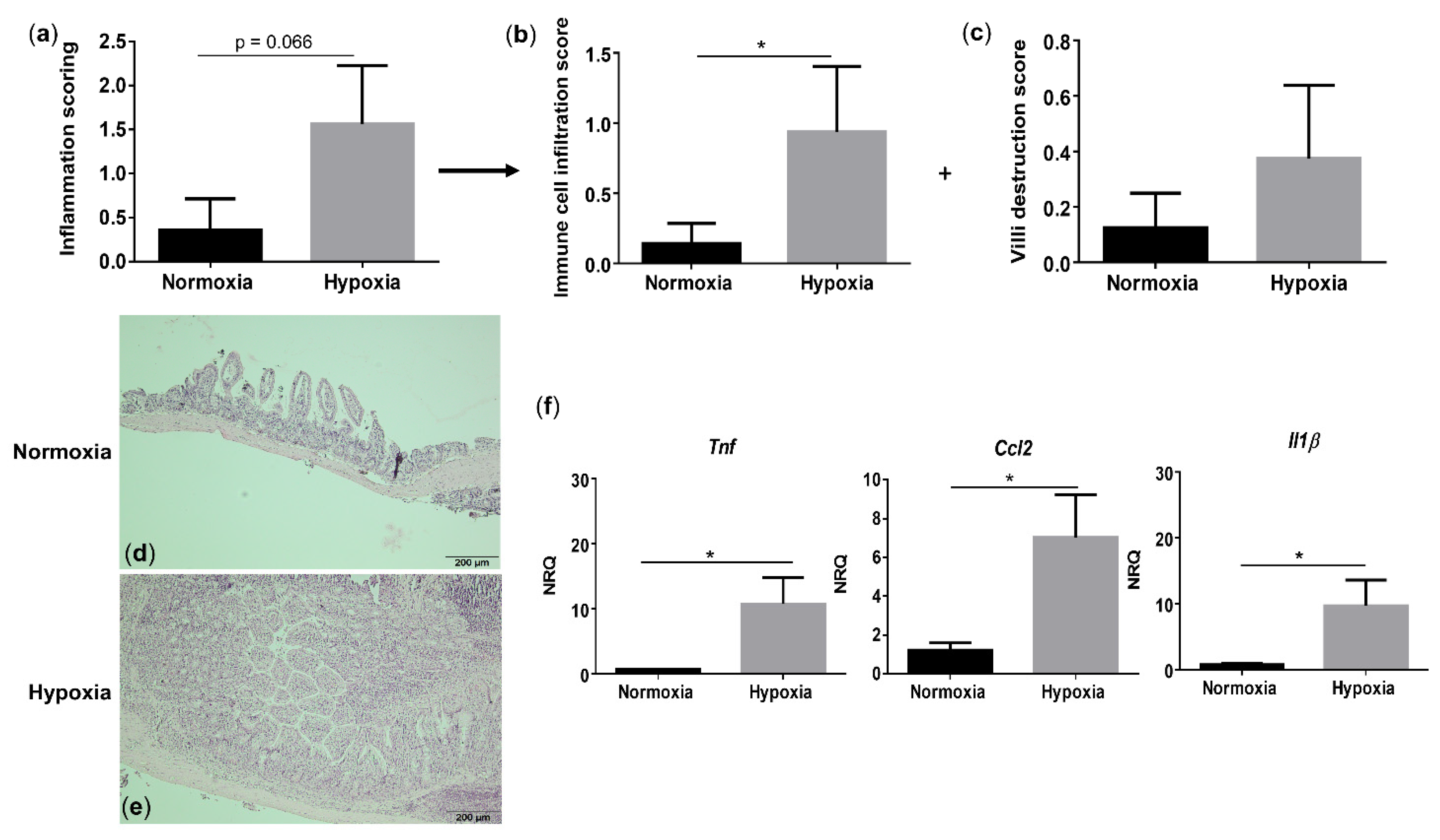 Biology 10 00887 g004 550