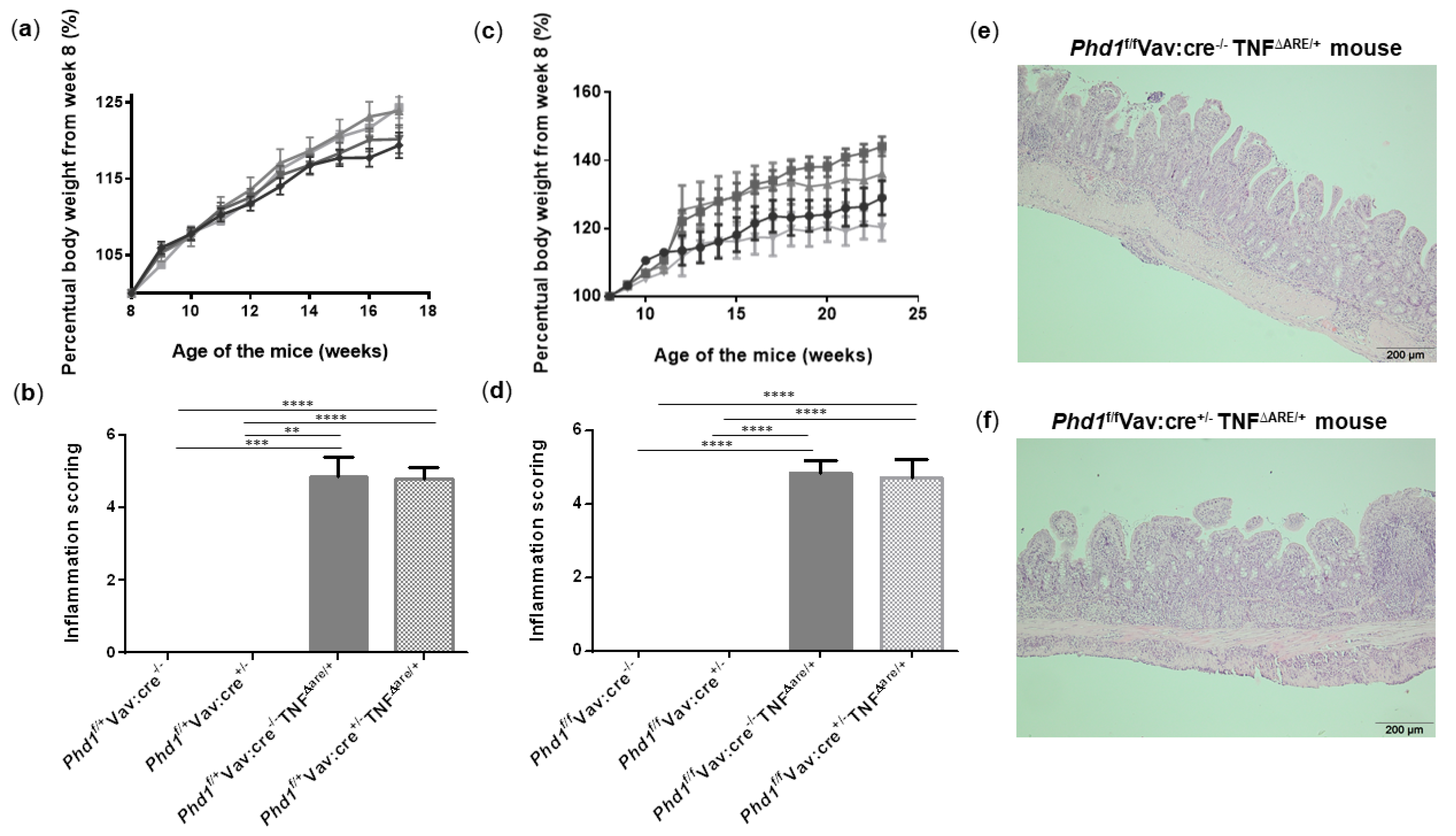 Biology 10 00887 g006 550