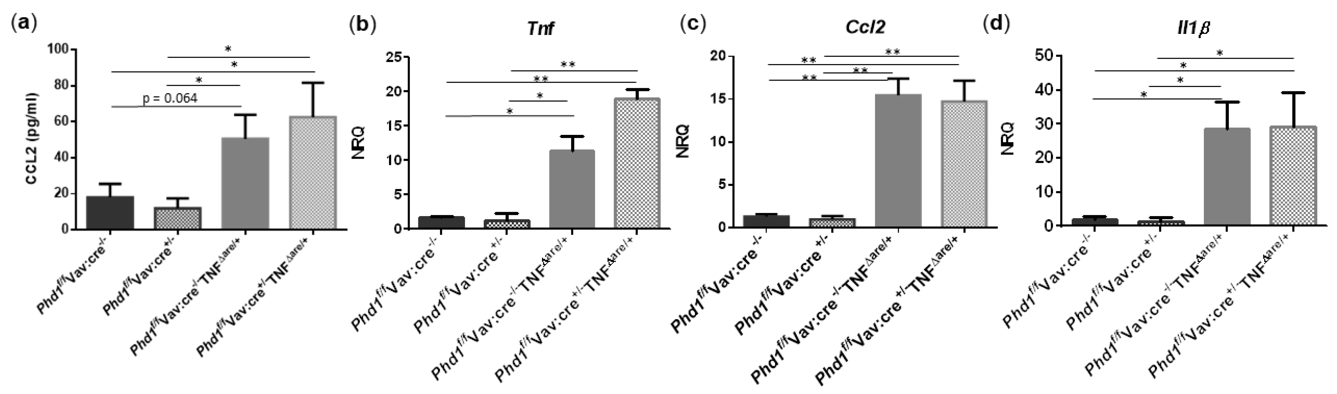 Biology 10 00887 g007 550