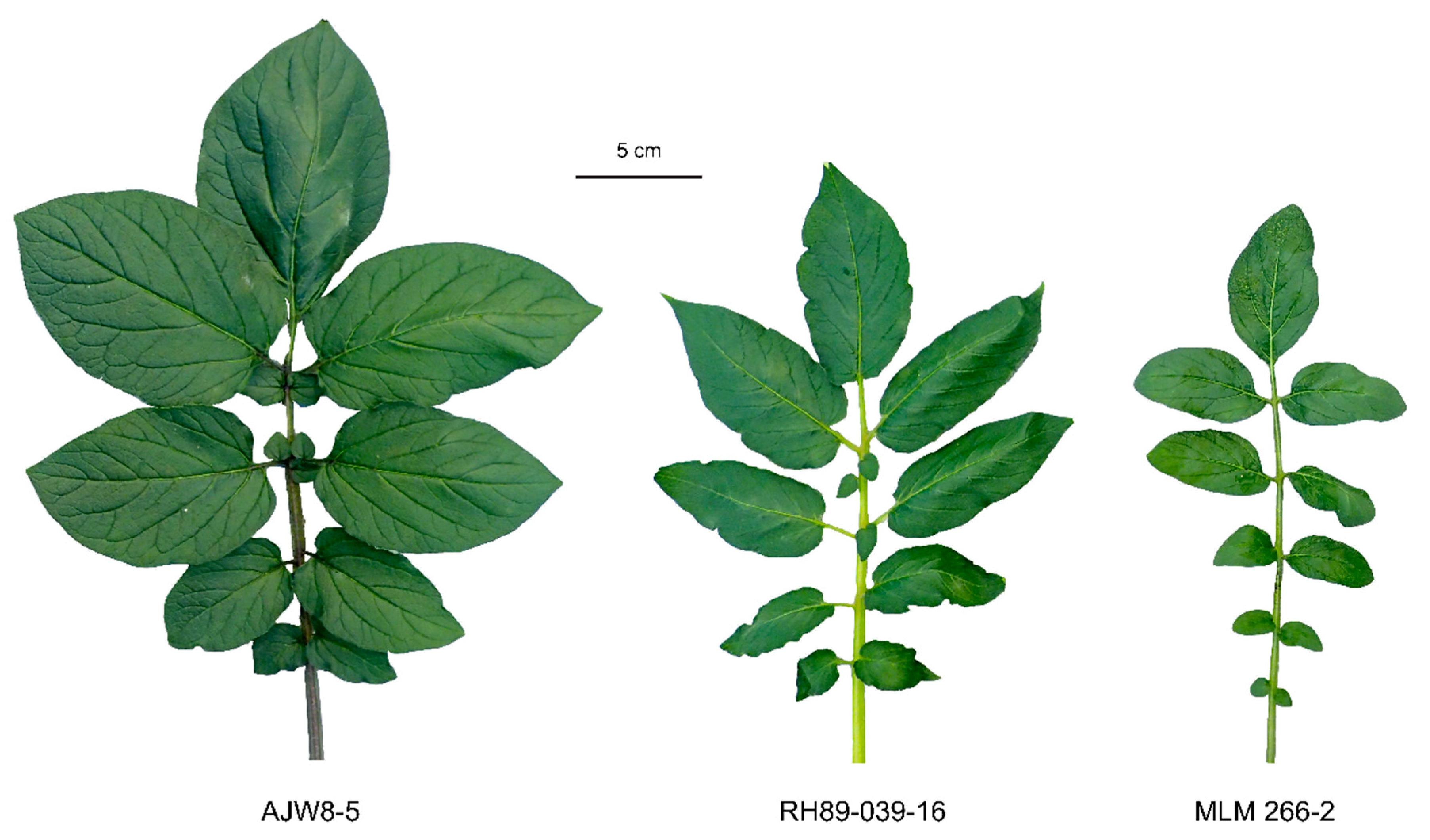 Biology 10 00892 g003 Biology 10 00892 g003