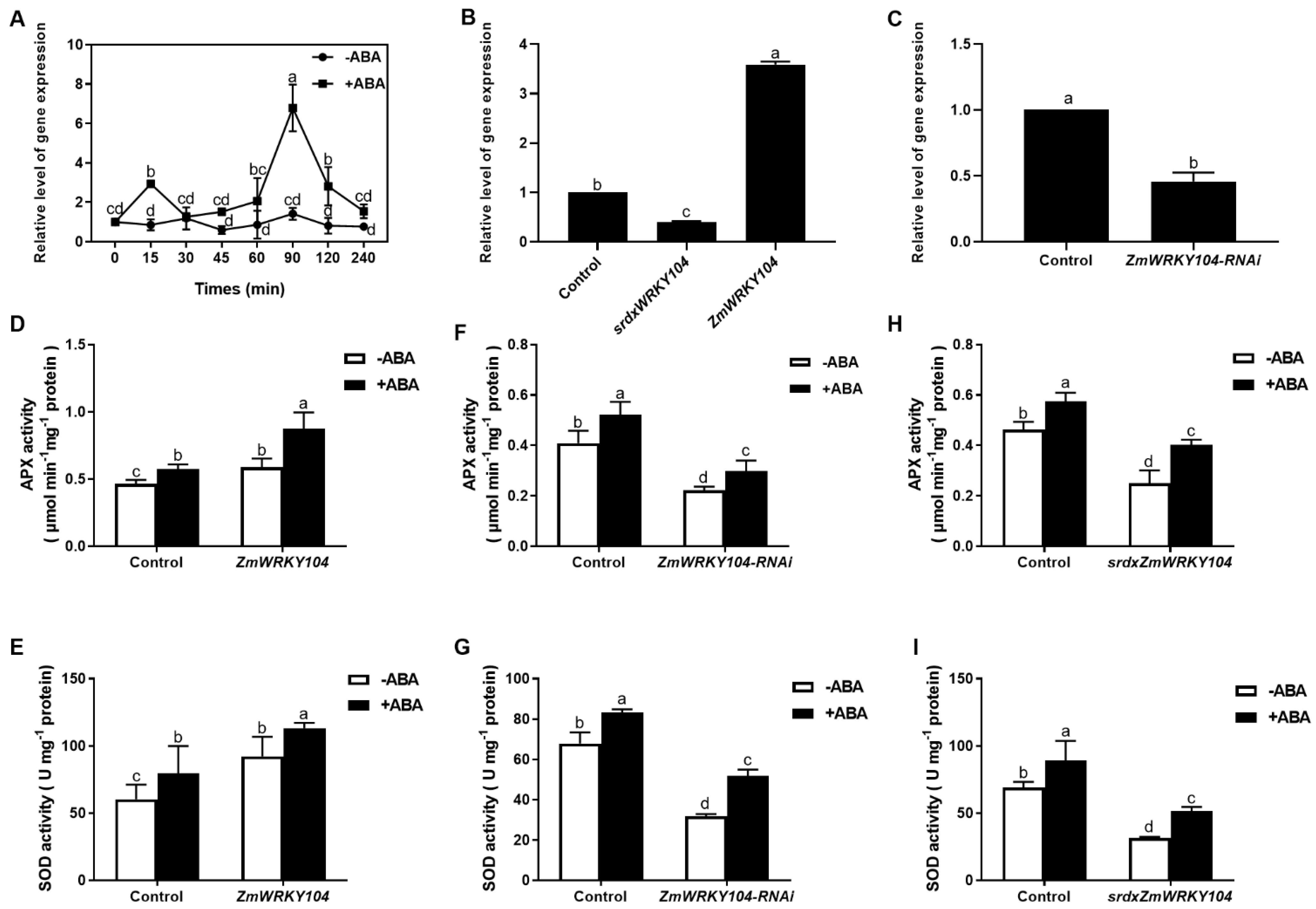 Biology 10 00893 g001