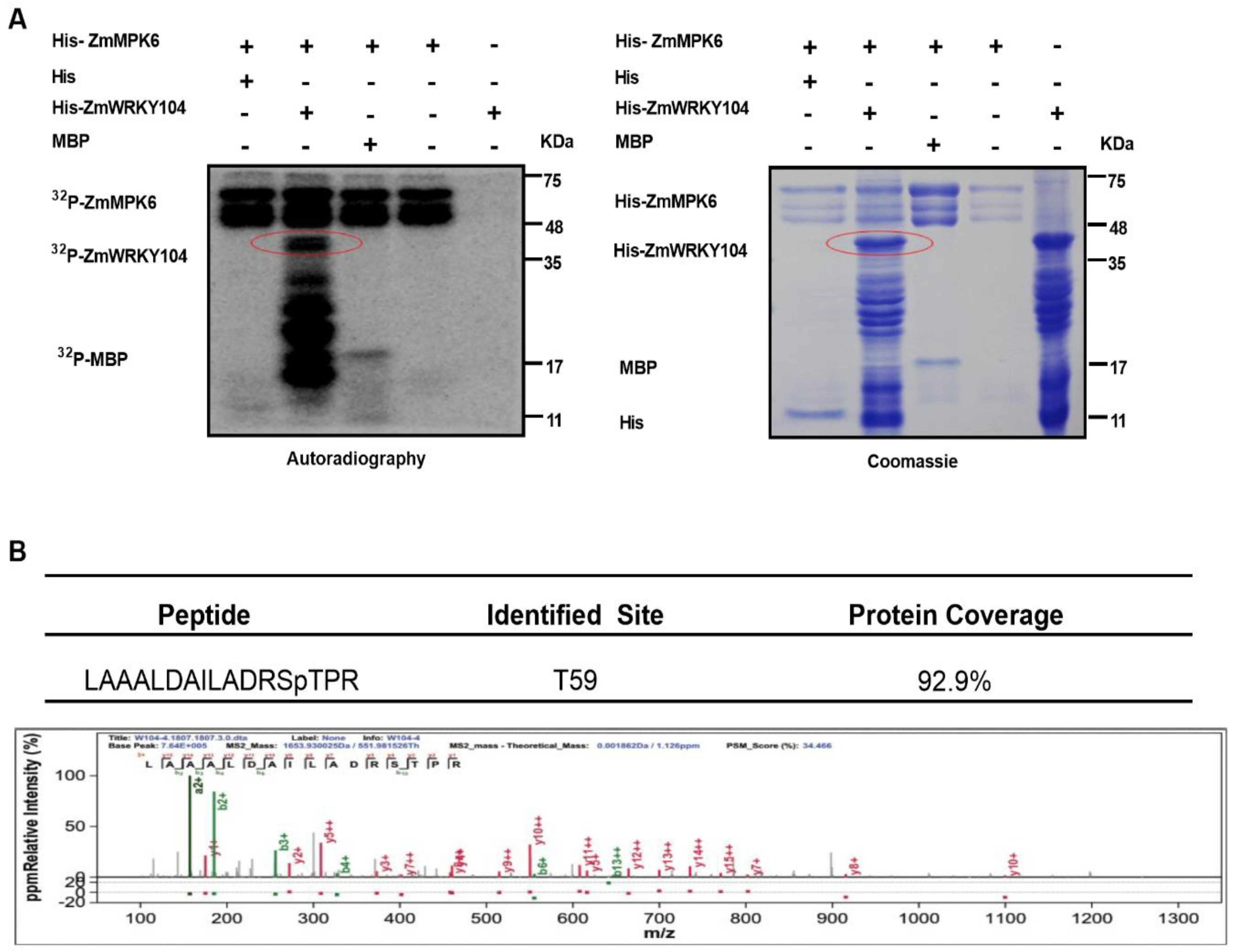 Biology 10 00893 g005