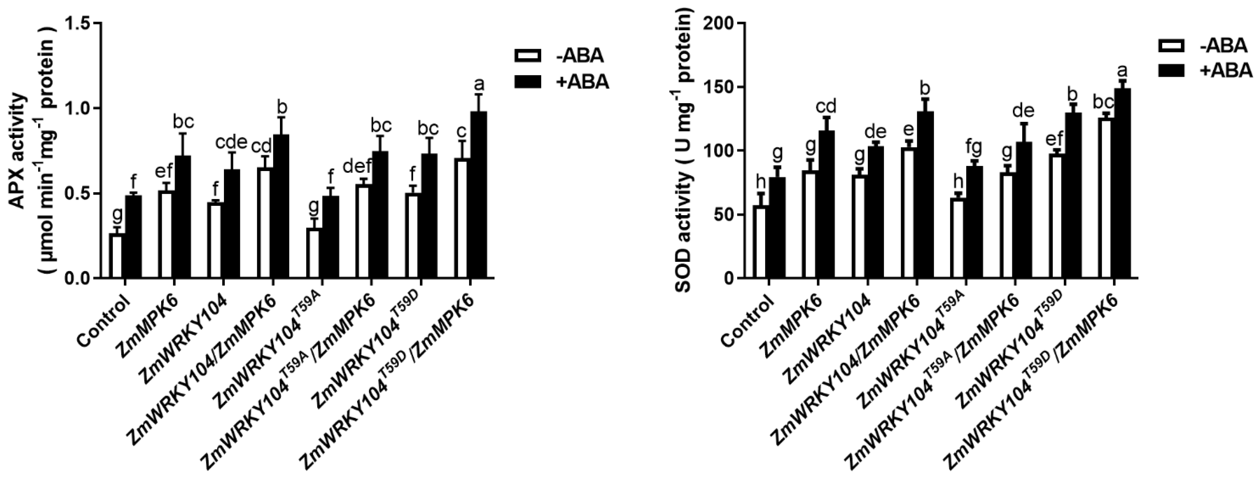 Biology 10 00893 g006