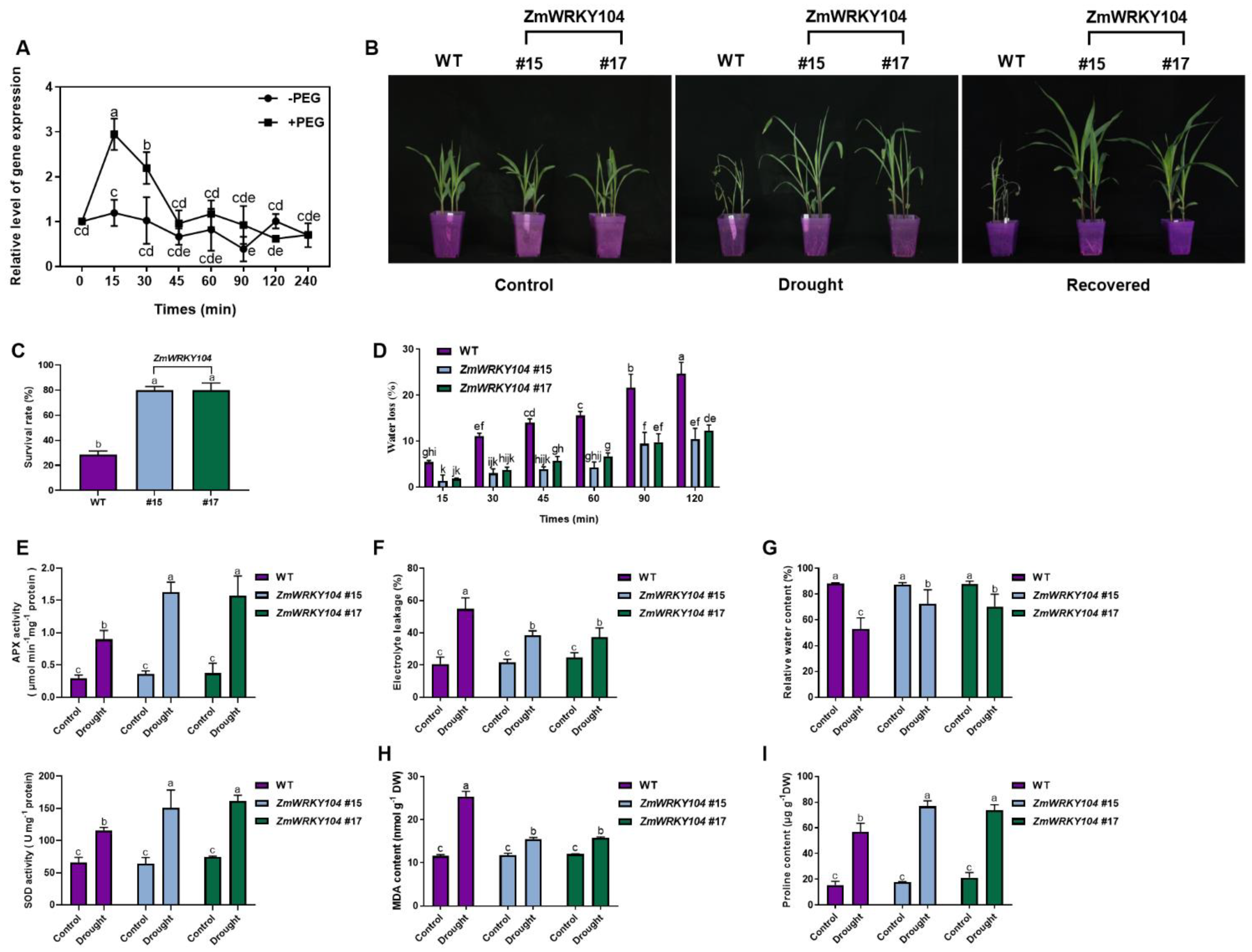 Biology 10 00893 g007