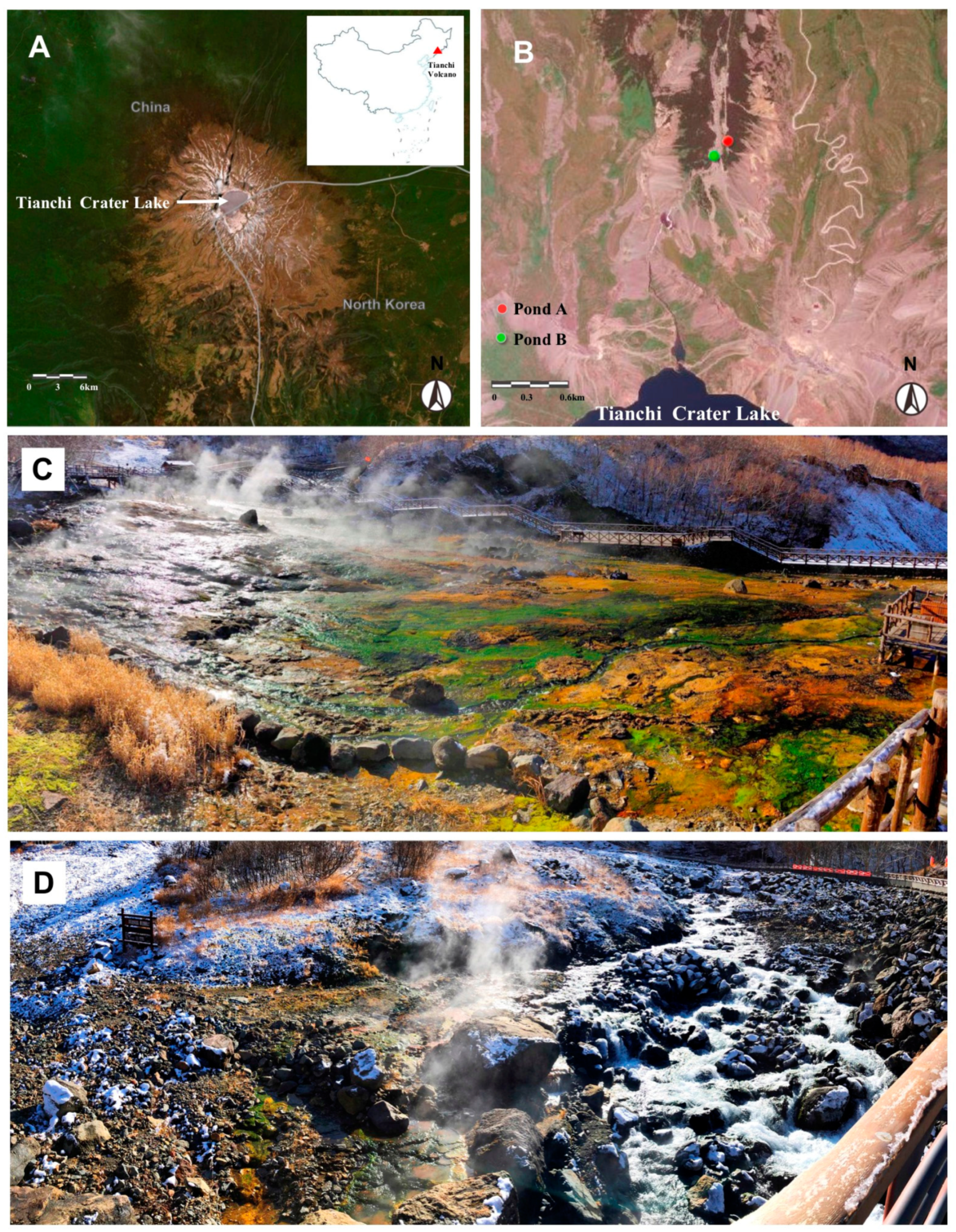 Biology 10 00894 g001 550