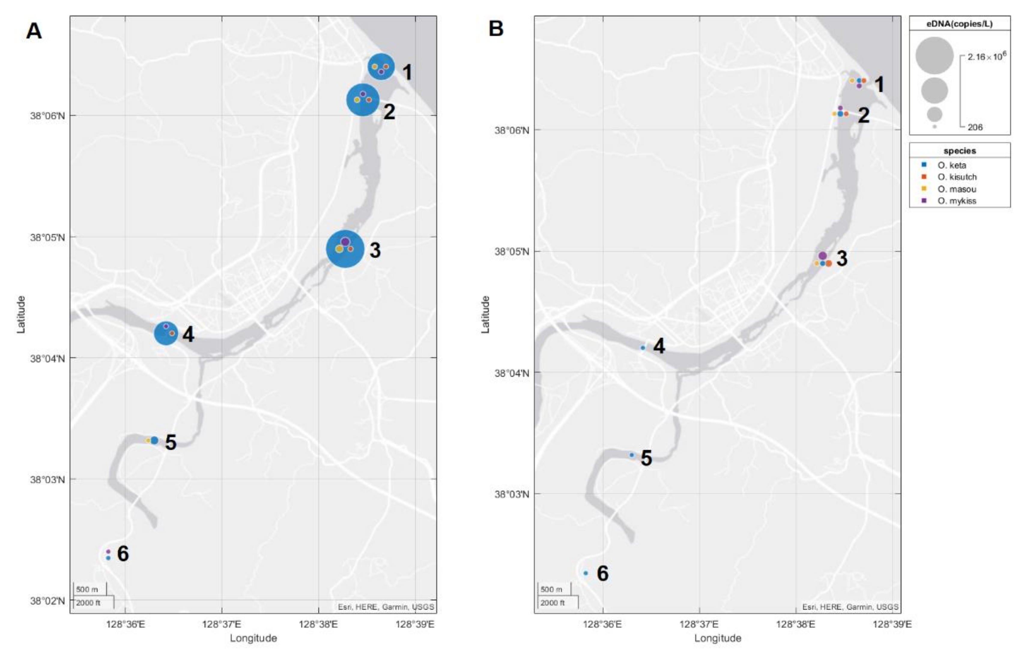 Biology 10 00899 g004 550