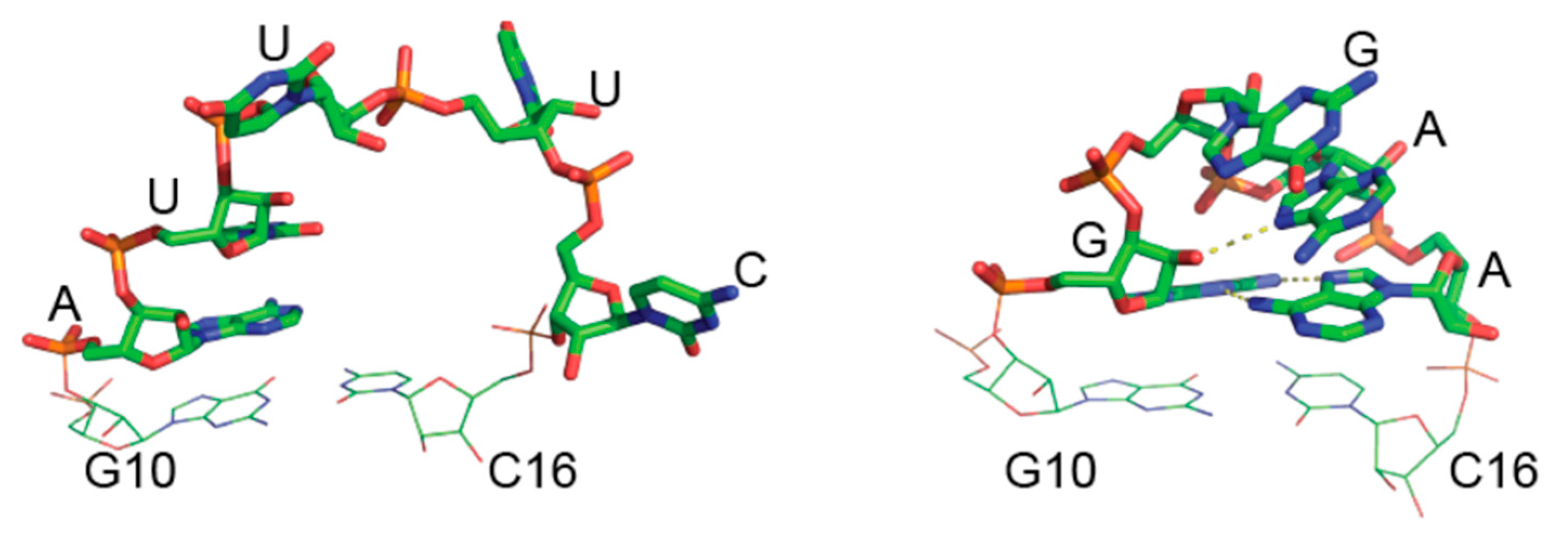 Biology 10 00900 g008