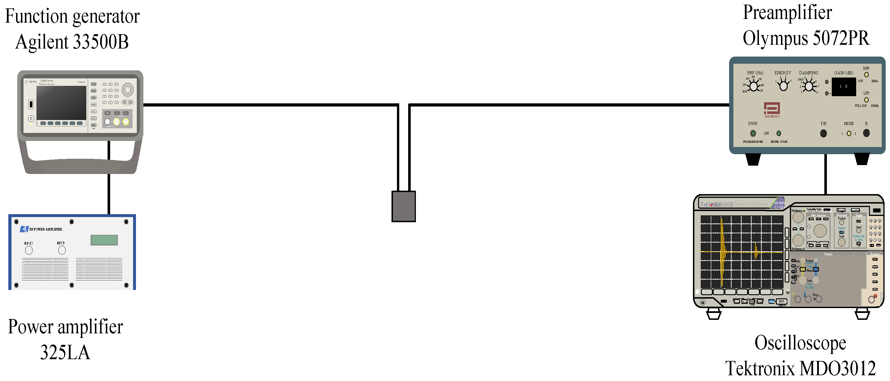 Biology 10 00901 g003 550