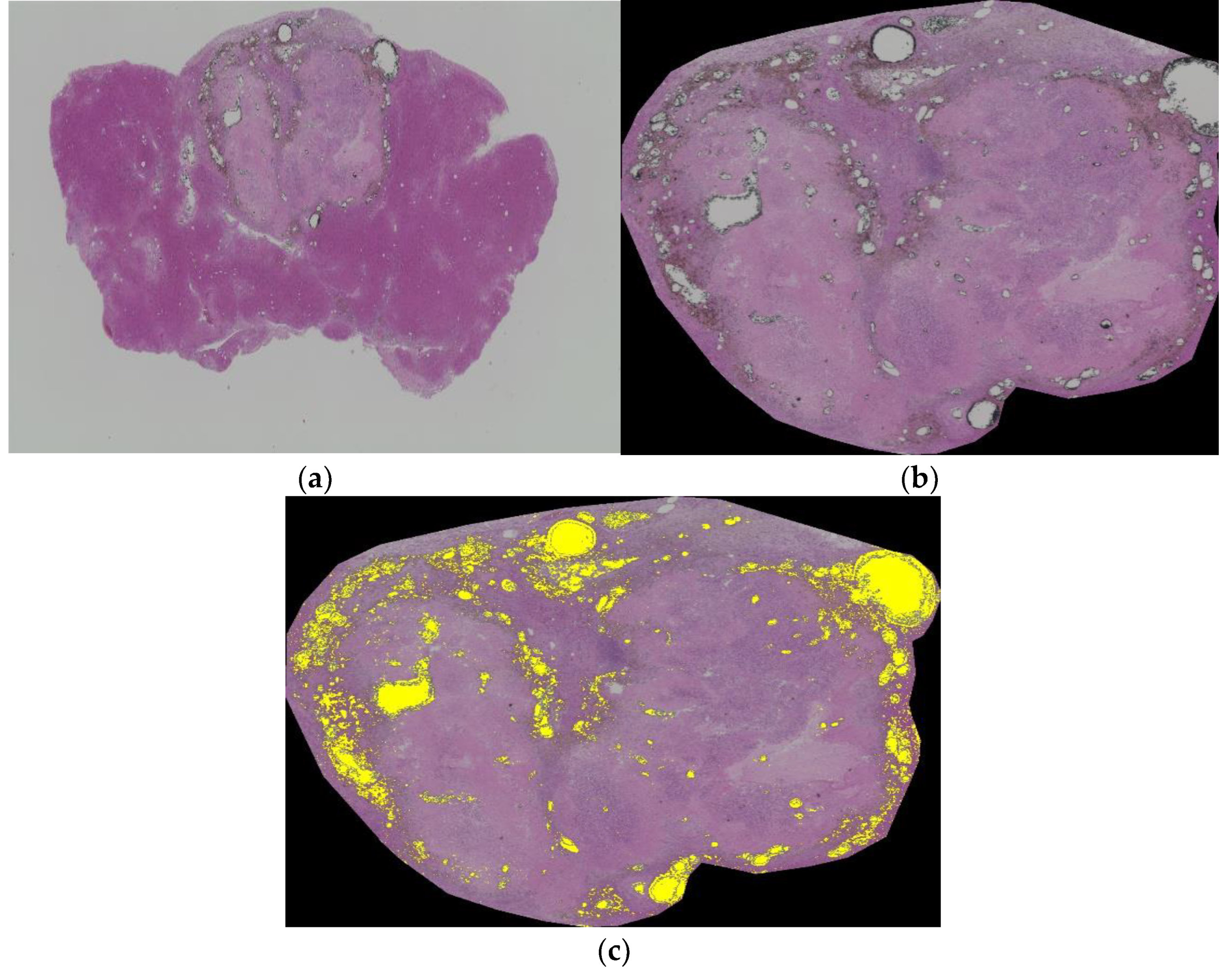 Biology 10 00901 g007 550