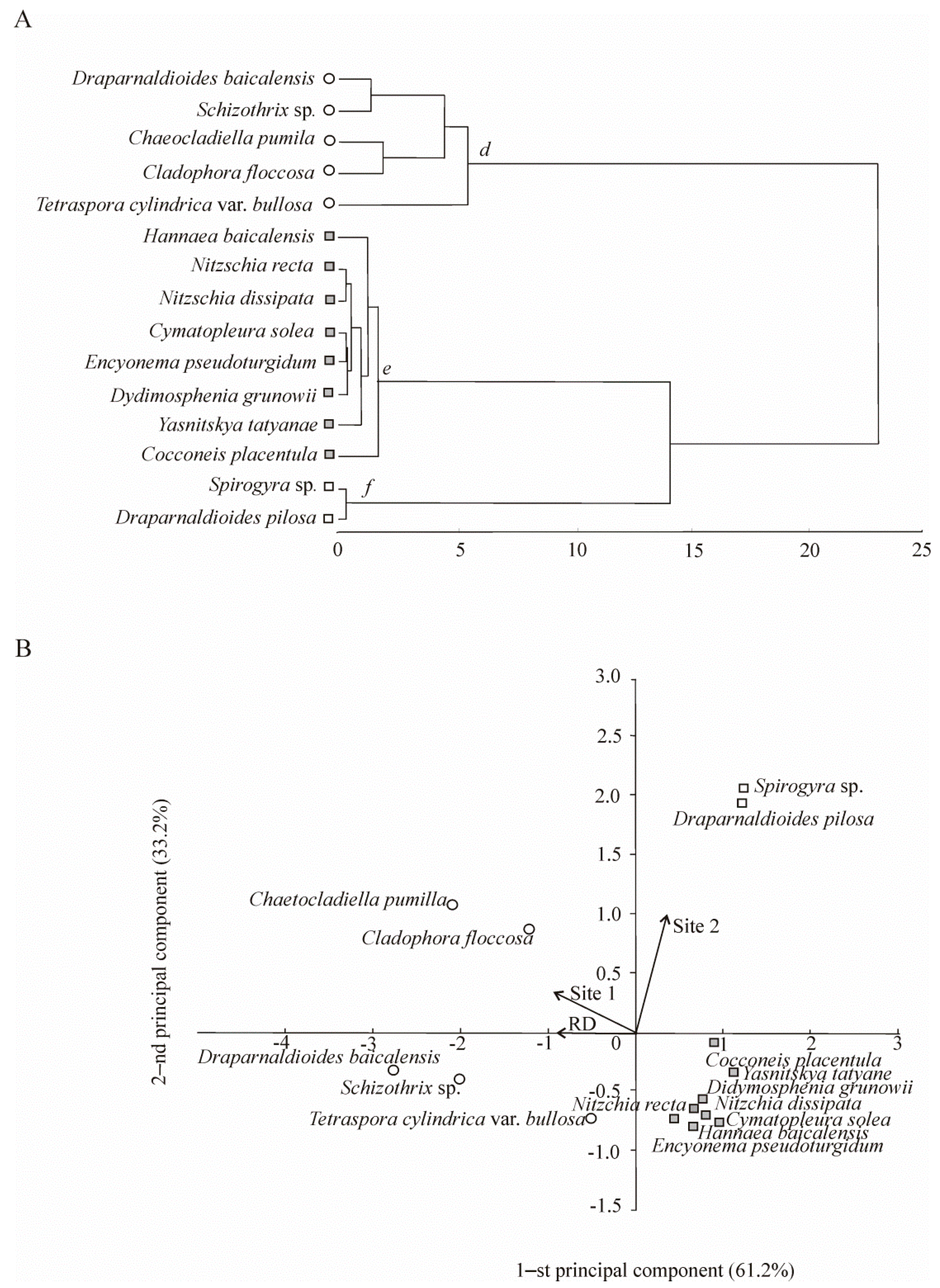 Biology 10 00904 g003