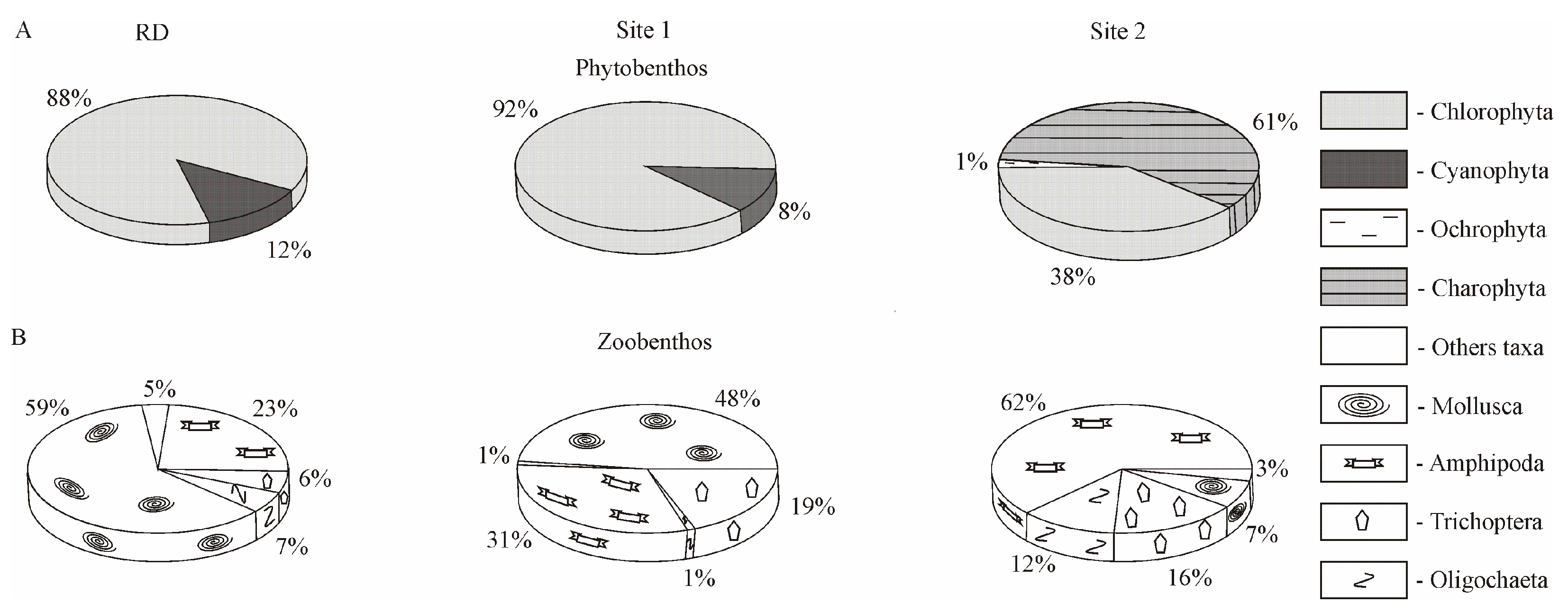 Biology 10 00904 g006