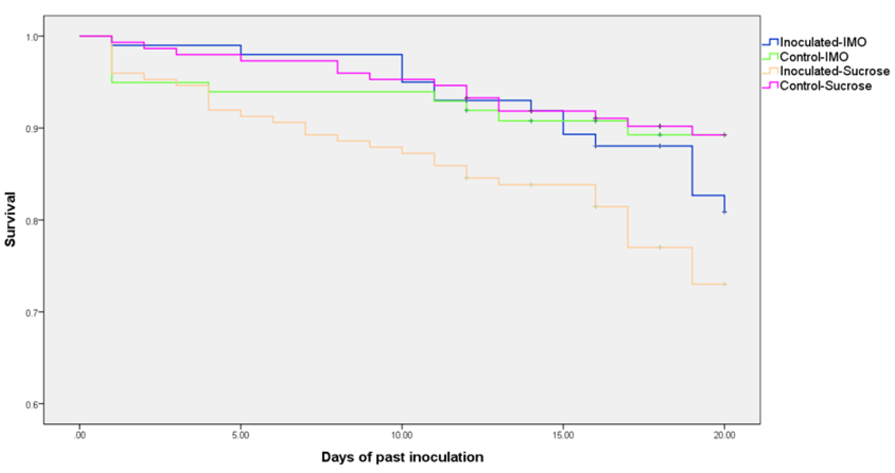 Biology 10 00905 g002