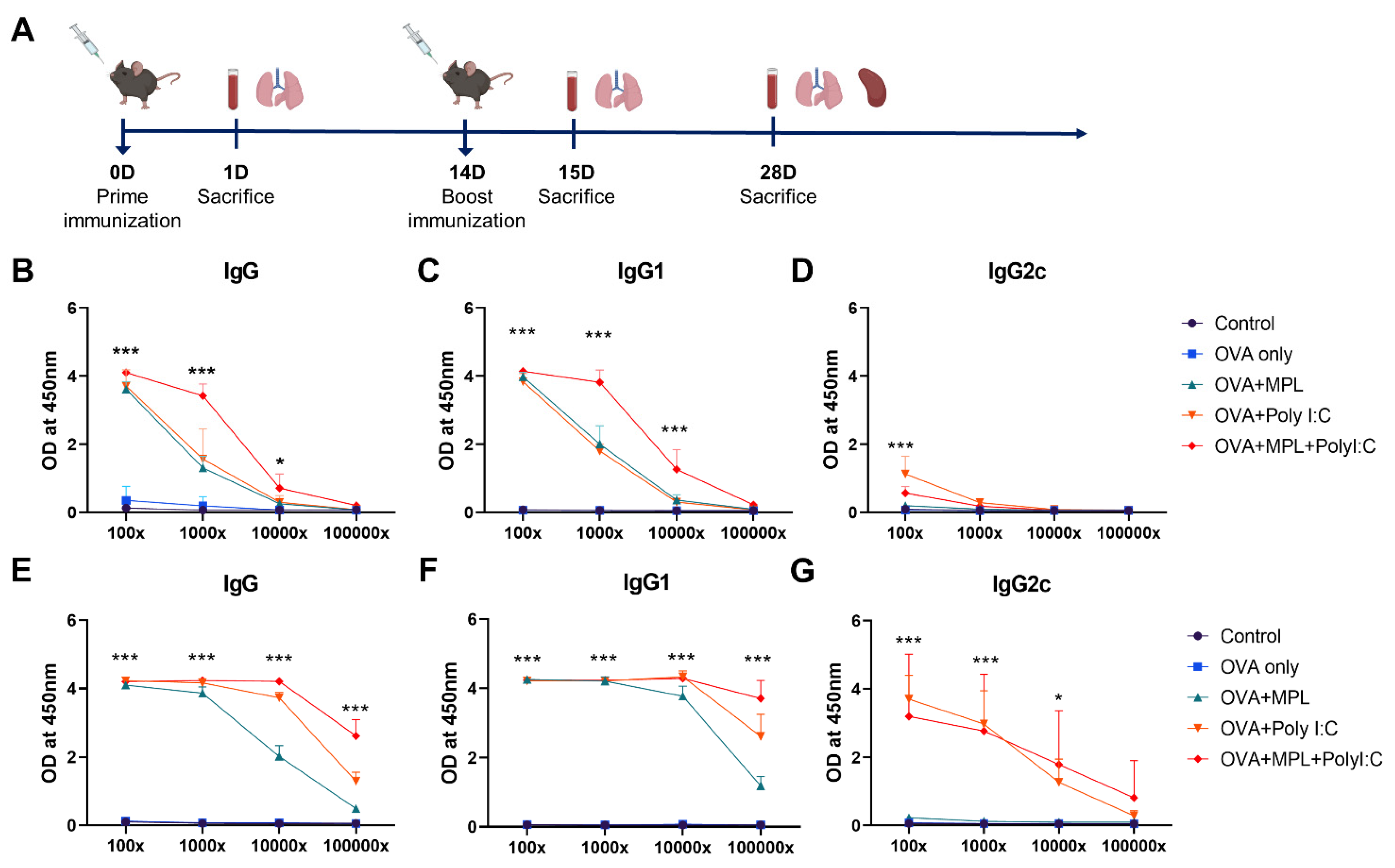 Biology 10 00908 g001