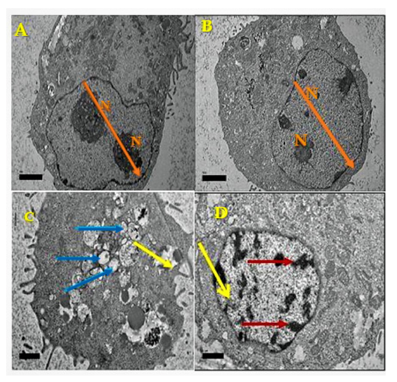 Biology 10 00909 g002 550