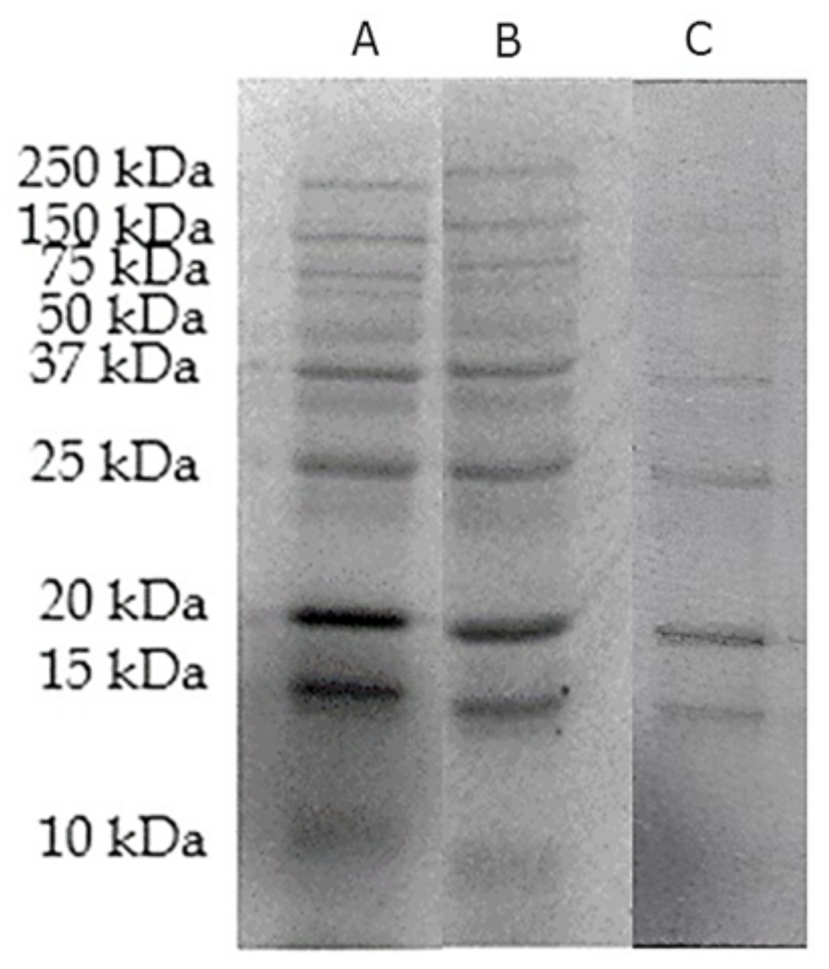 Biology 10 00909 g006 550