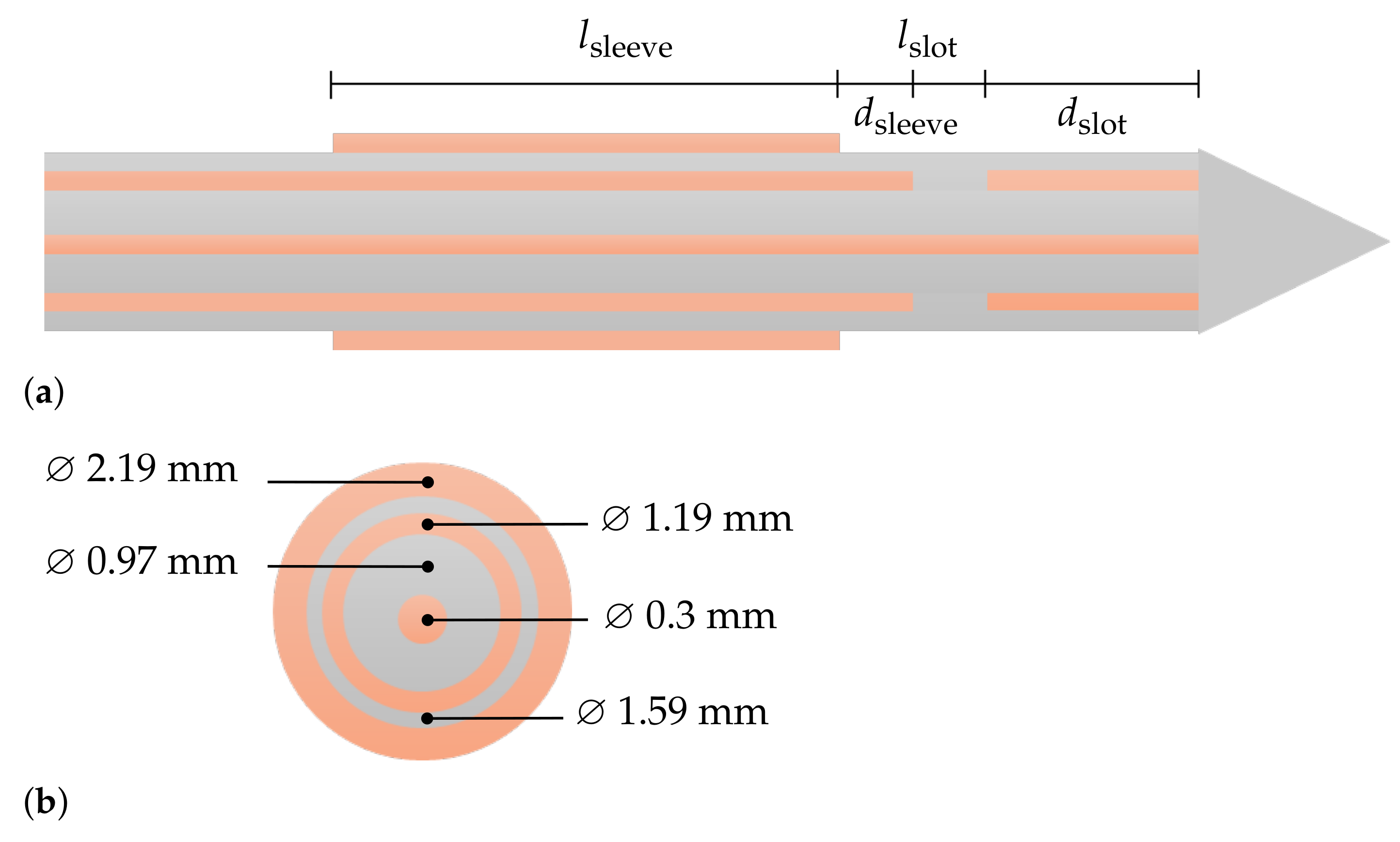 Biology 10 00914 g001